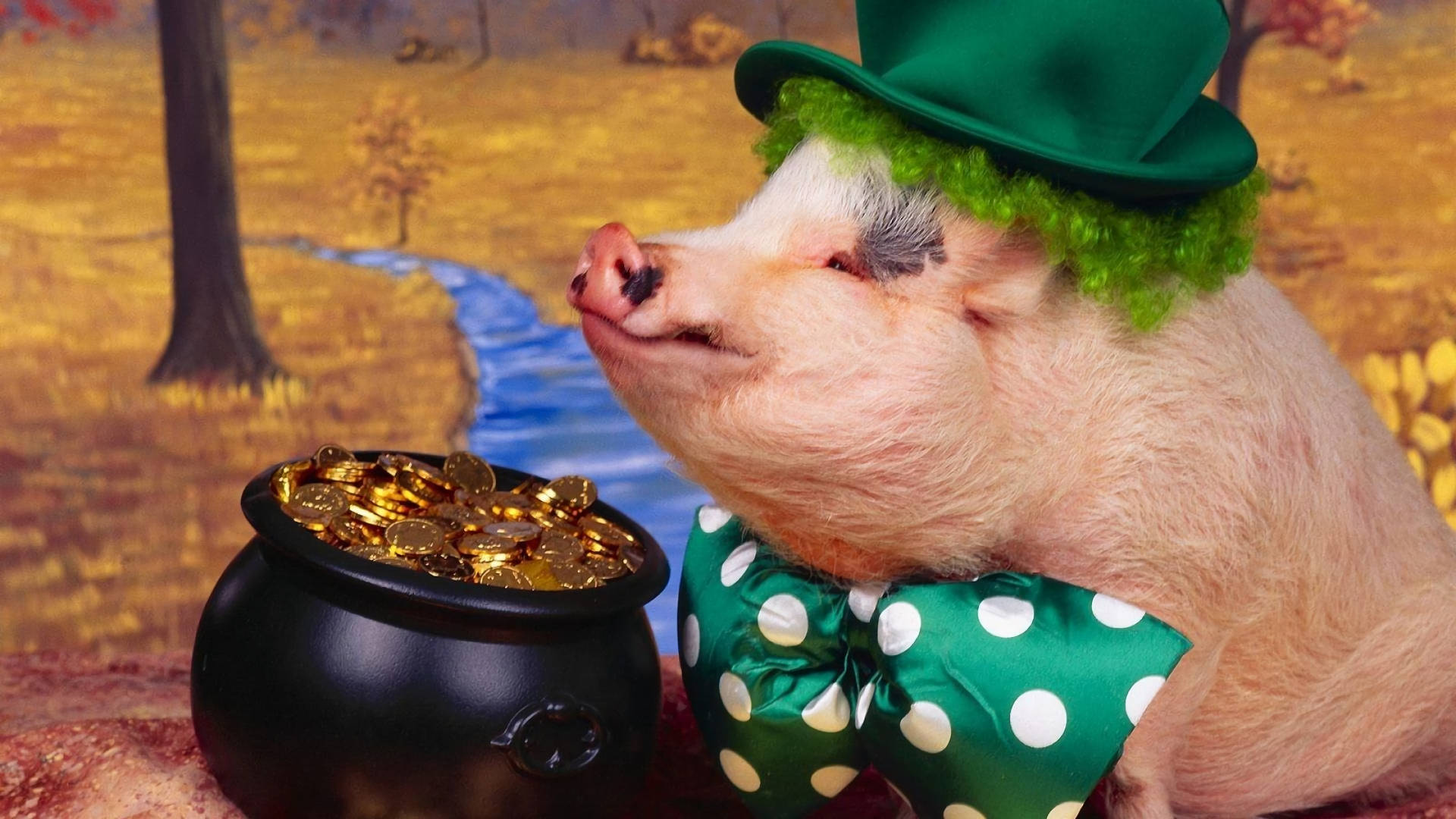 St. Patrick's Pig Background