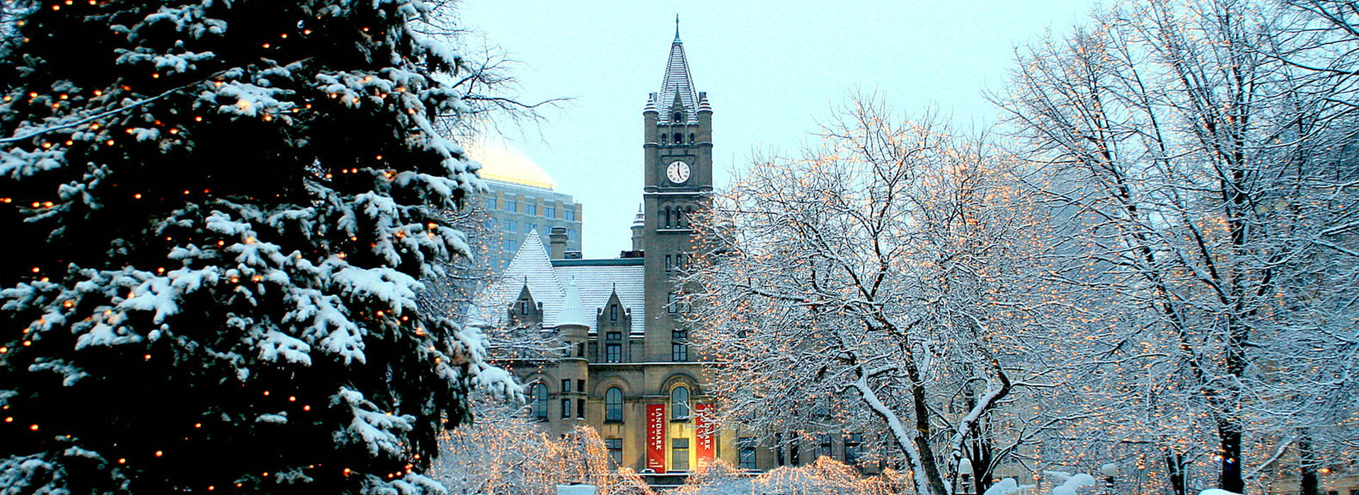 St Paul Rice Park Winter Trees Background