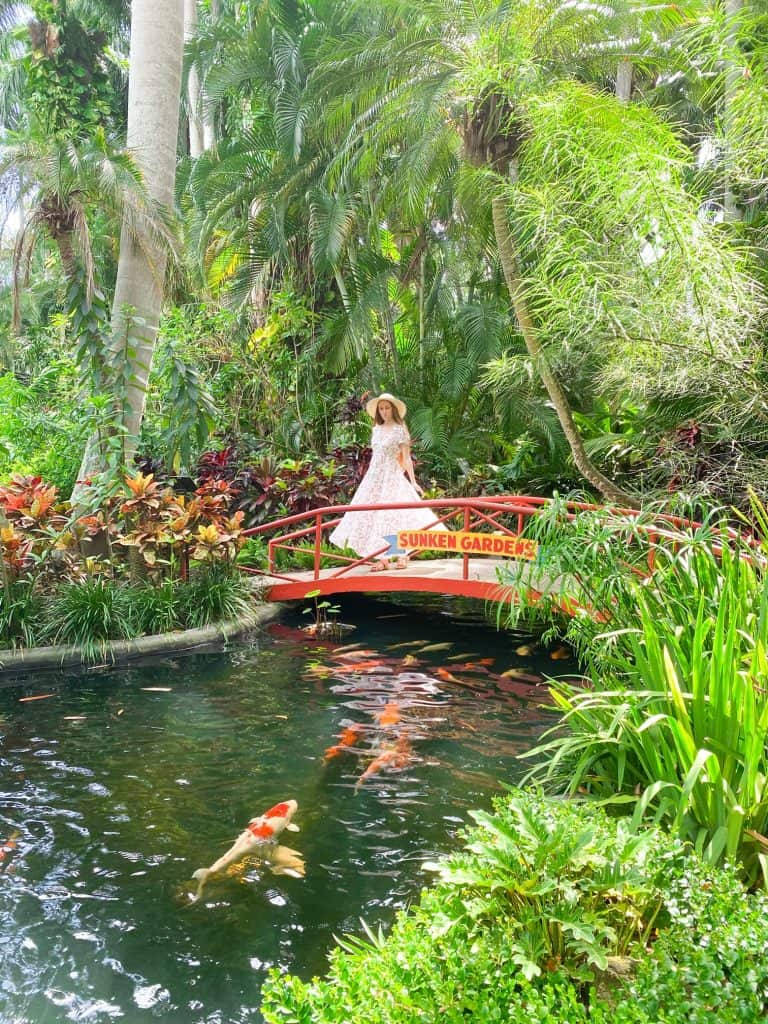 St Petersburg Sunken Gardens Bridge Background