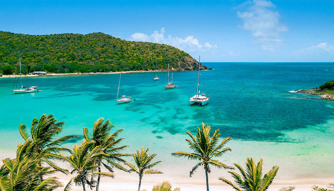 St Vincent And The Grenadines Boats Sailing