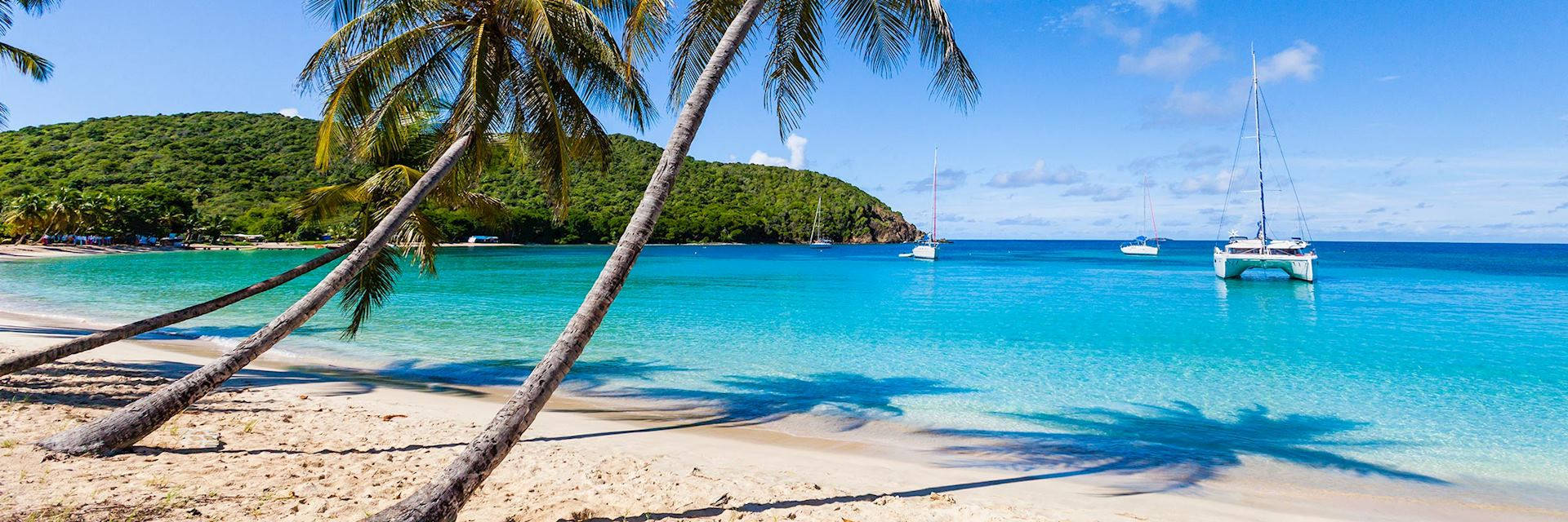 St Vincent And The Grenadines Leaning Coconut Trees