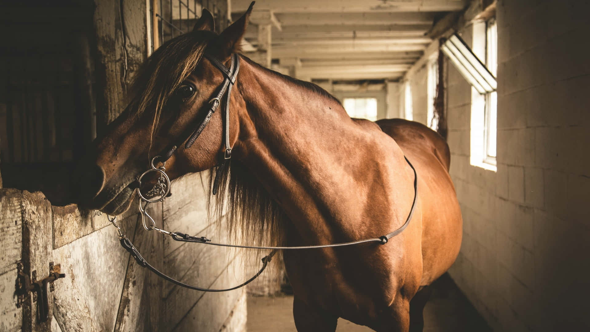 Stable Side View [wallpaper] Background