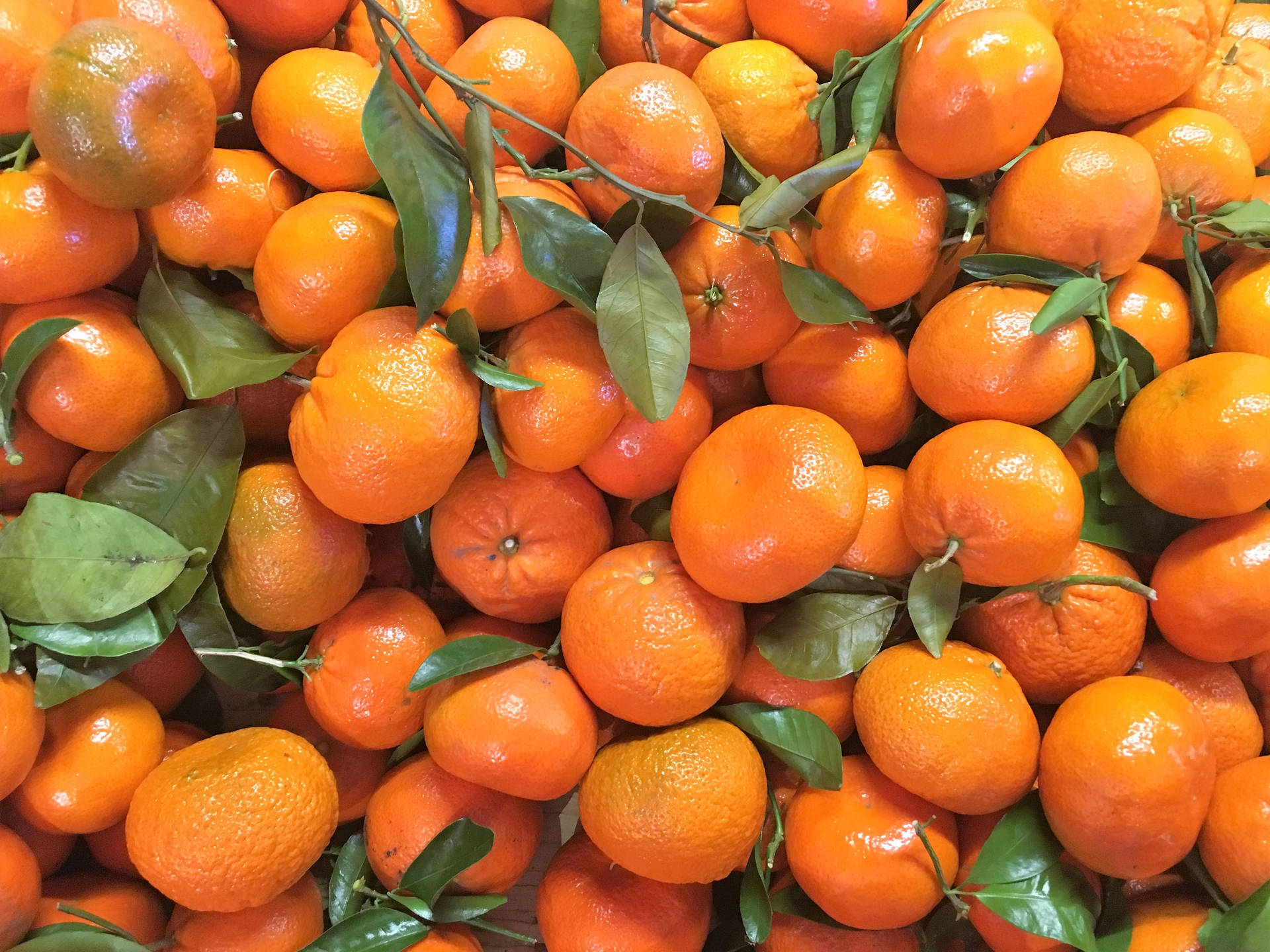 Stack Of Clementine Fruits Top View