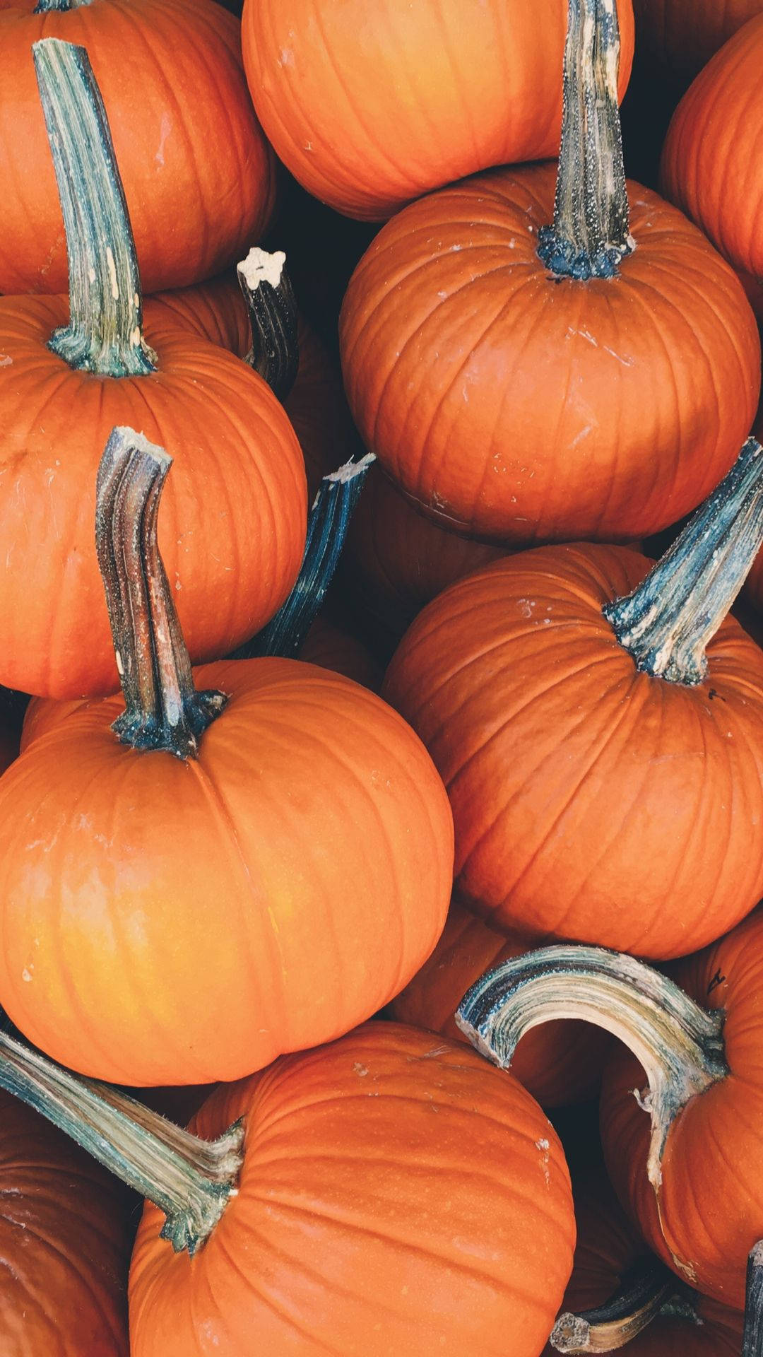 Stacked Pumpkins For A Festive Fall! Background