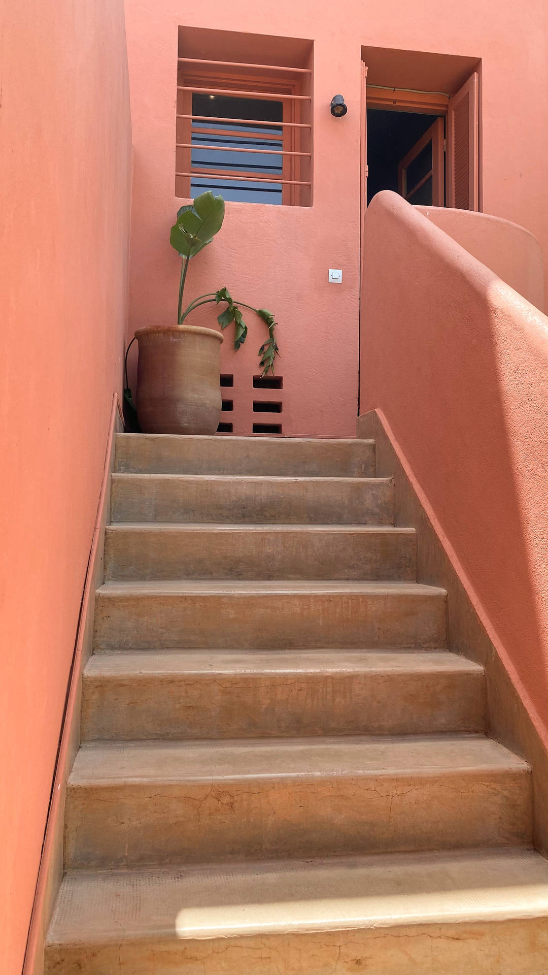 Stairway Potted Plant Aesthetic Background