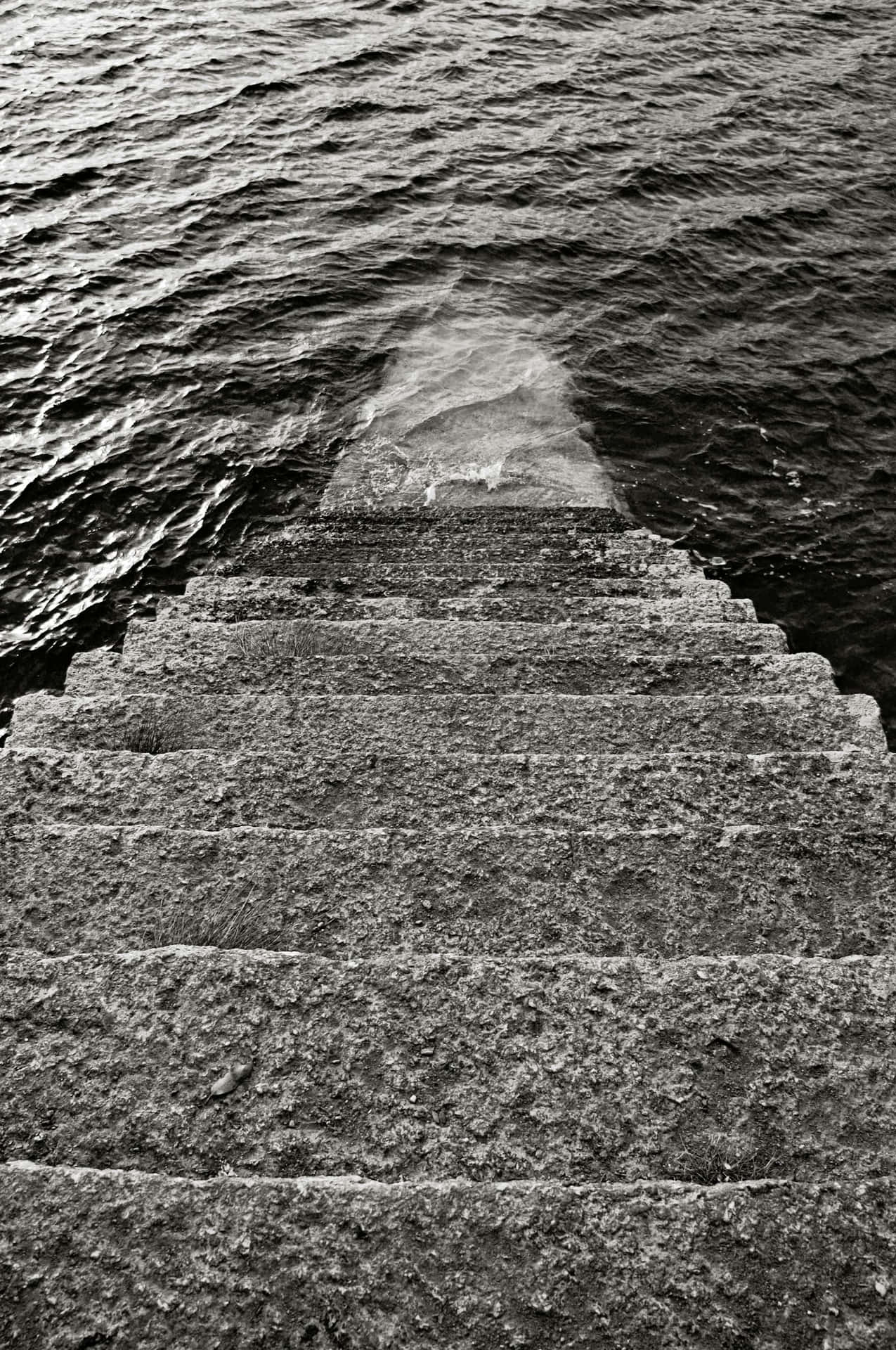 Stairwayto Sea Blackand White Background