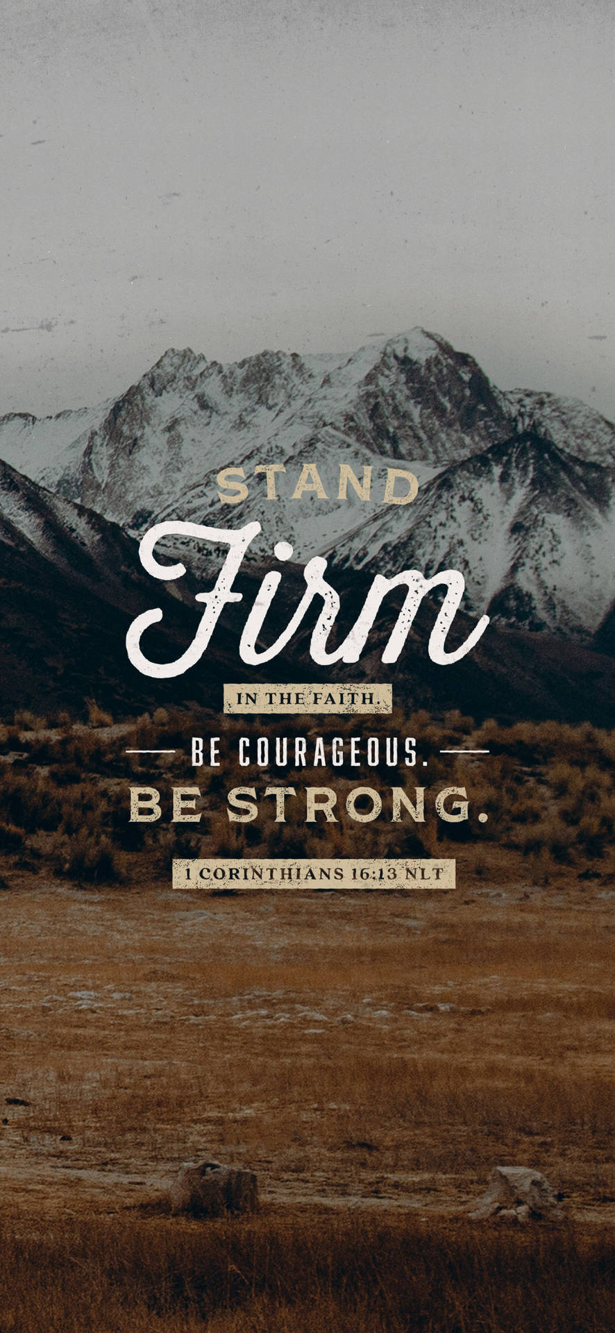 Stand Firm Bible Quote Background