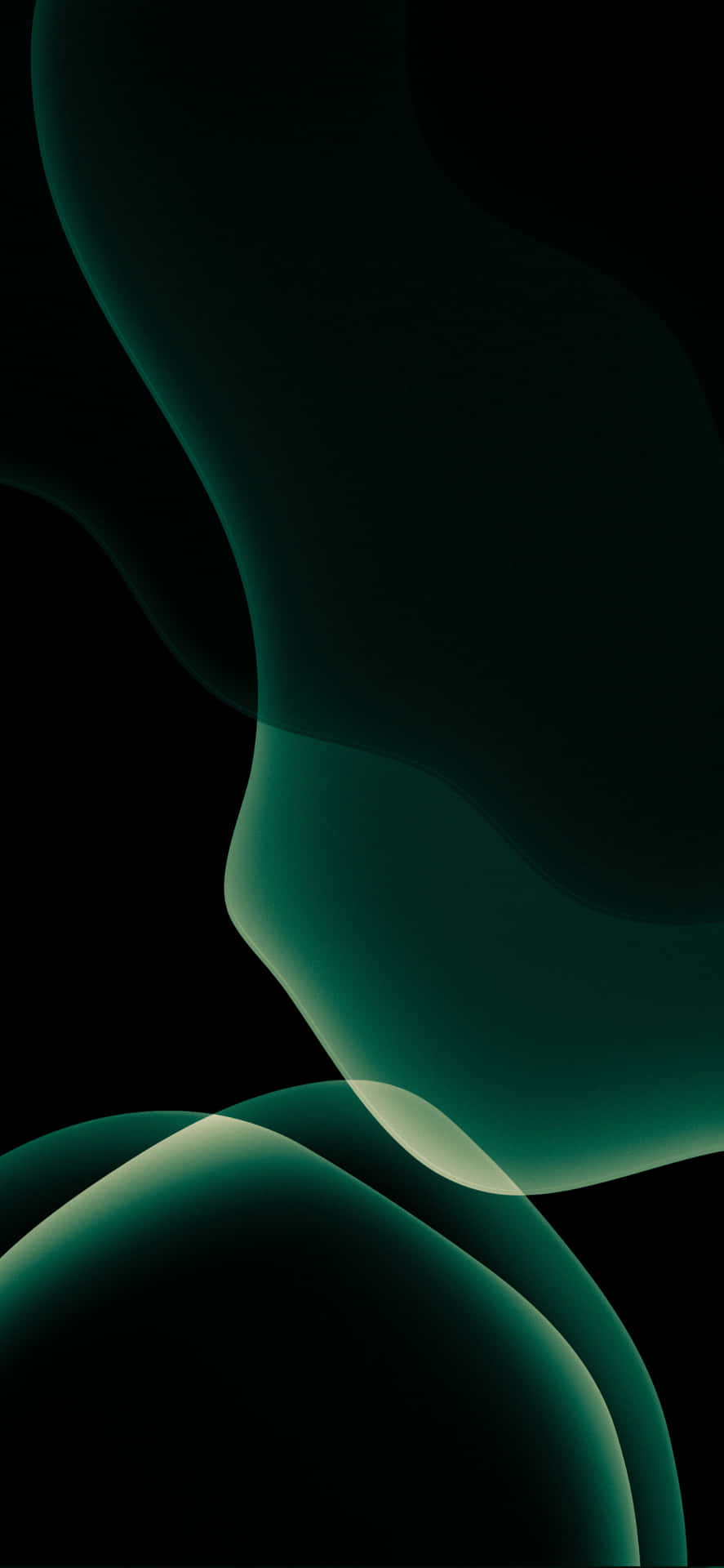 Stand Out With The Iphone 11 In Green Background
