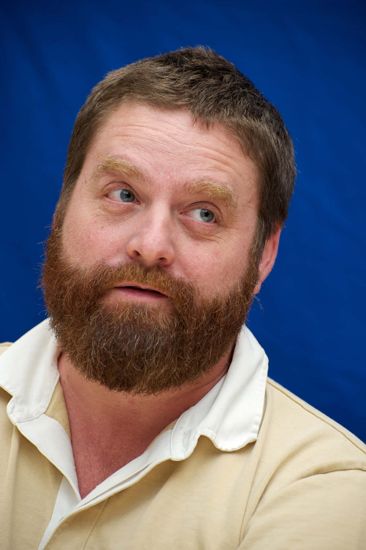 Stand Up Comedian Zach Galifianakis Background