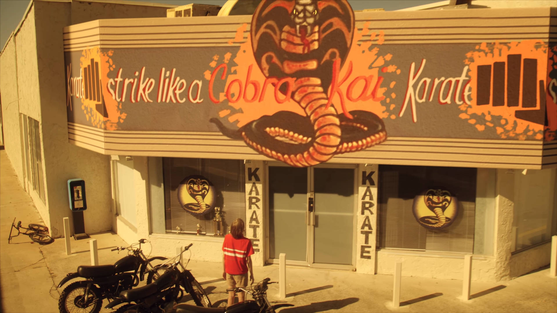 Stand Up For Your Alligence In The Cobra Kai Dojo Background