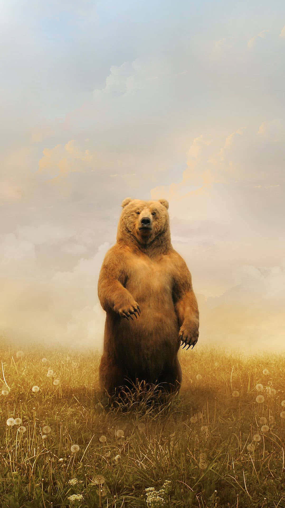 Standing Bearin Misty Meadow Background