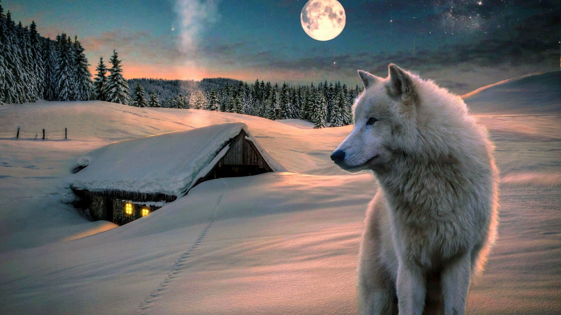 Standing In Awe Of The Wolf Moon Background