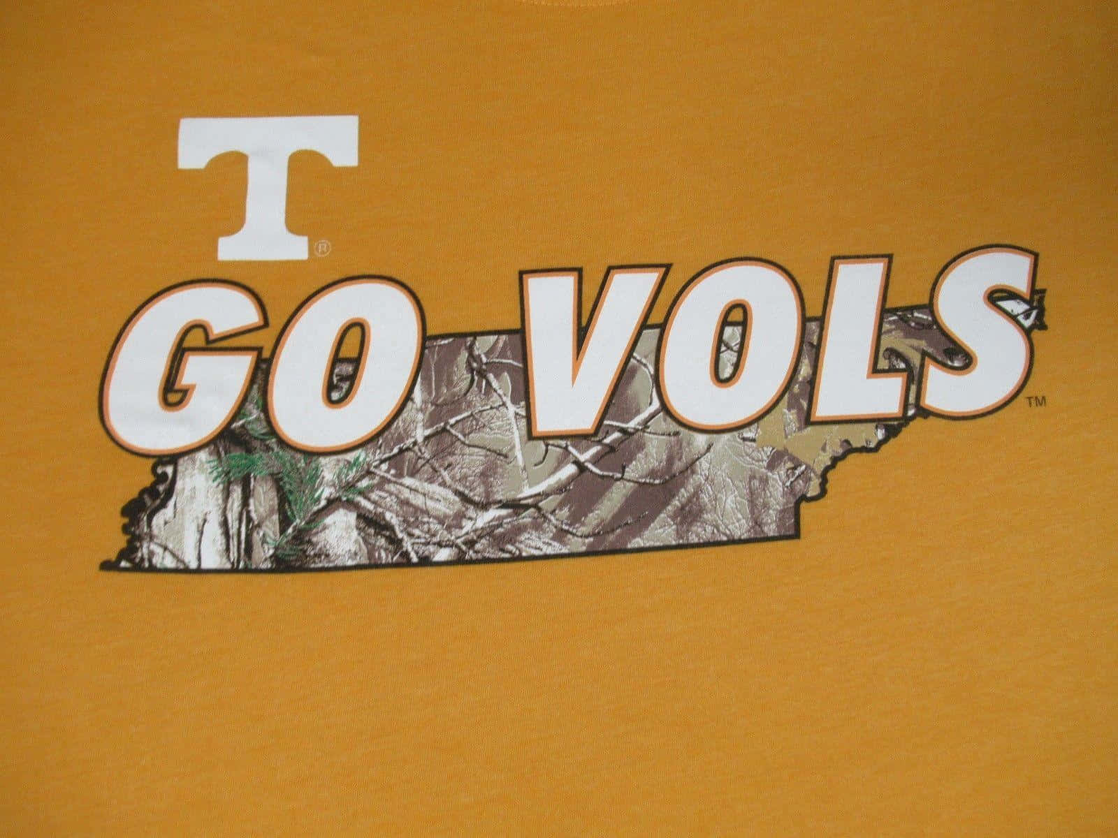 Standing Proud In Tennessee Orange And White Background
