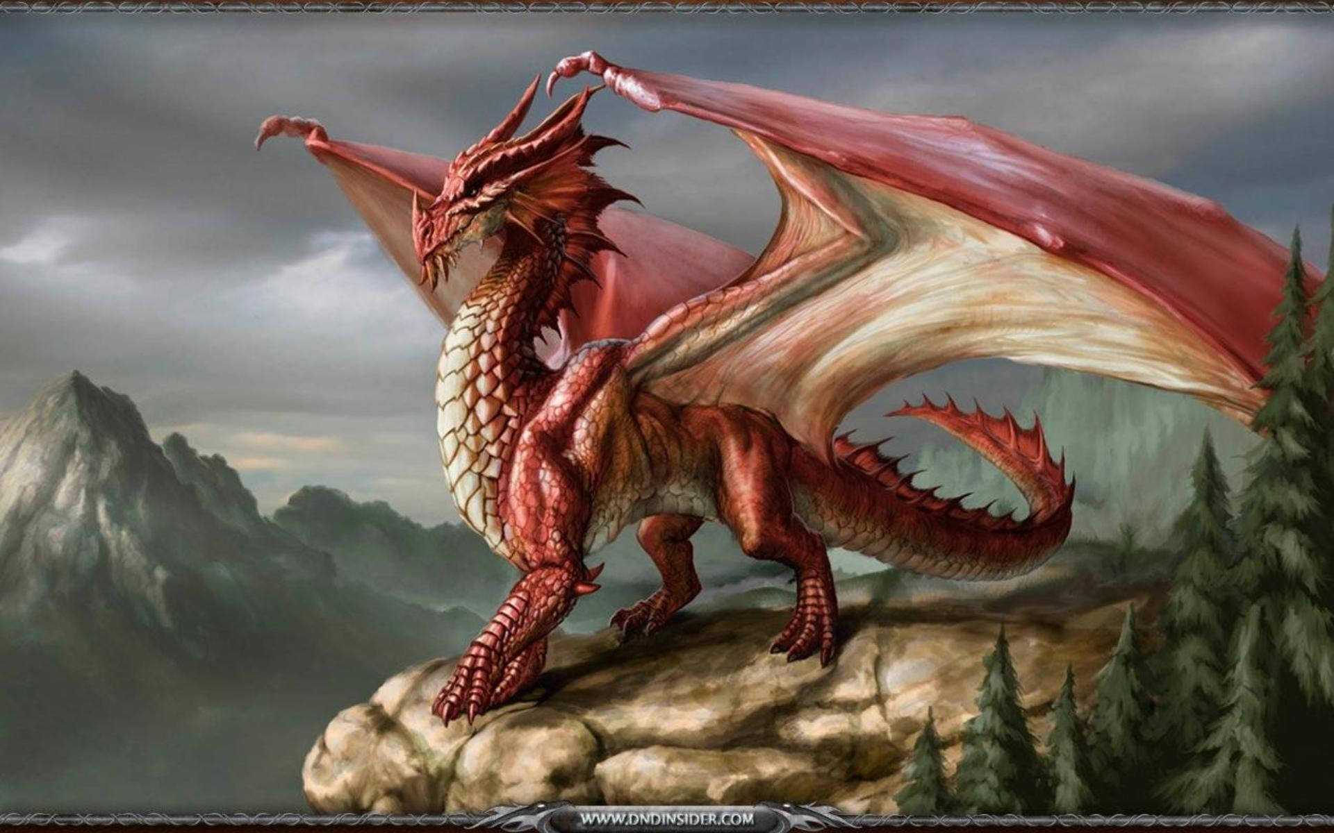 Standing Red Dragon In Rock Background