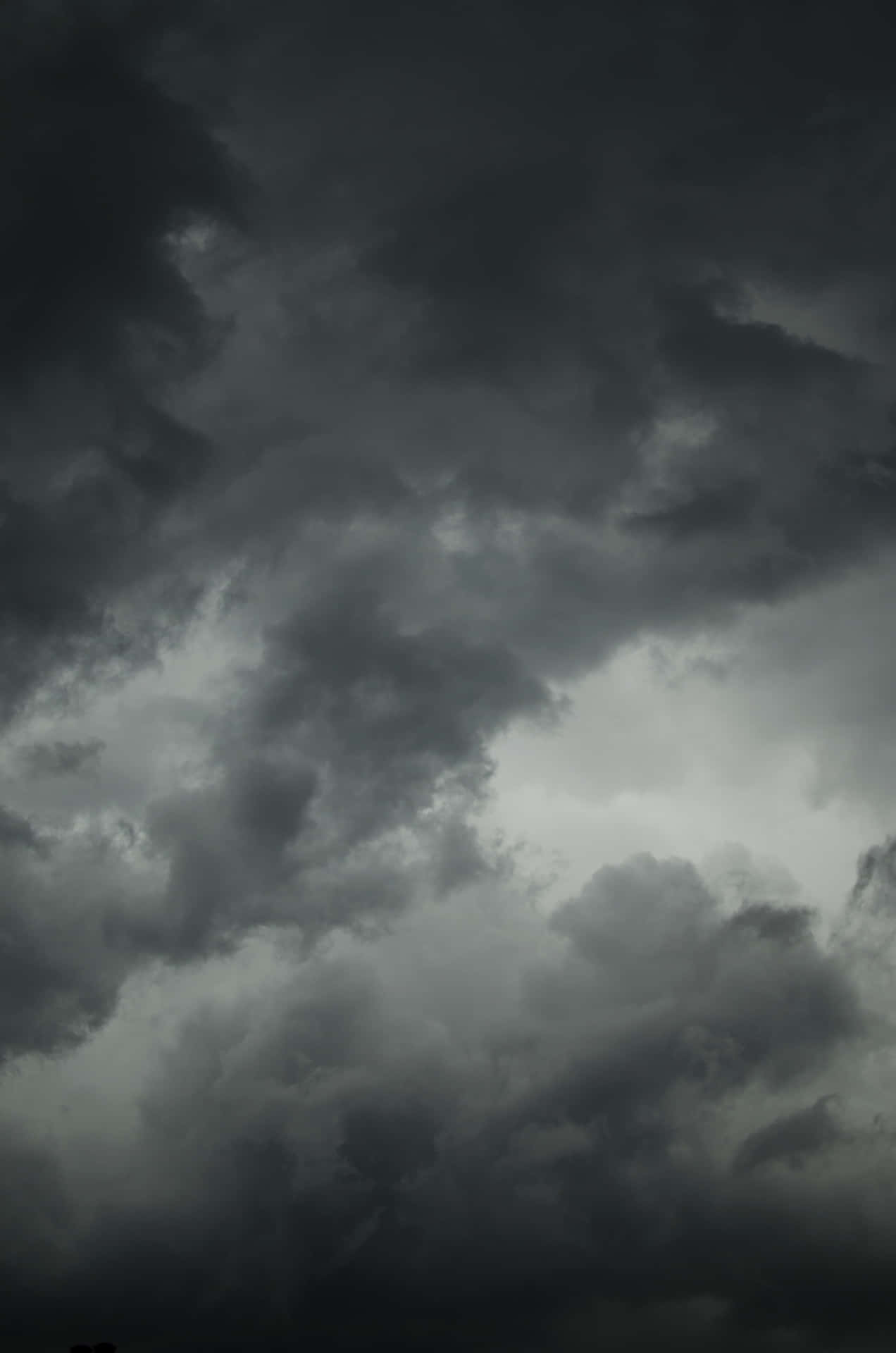 Standing Tall Above The Black Clouds Background