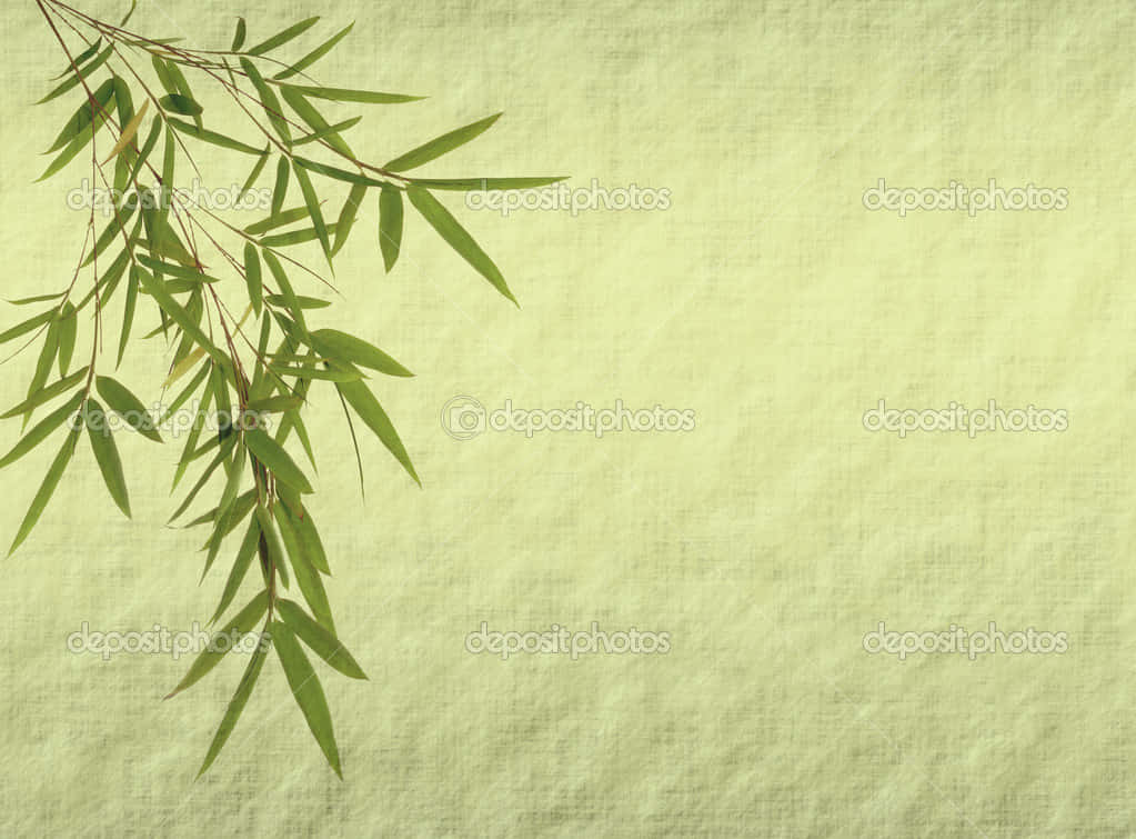 Standing Tall Against The Elements – A Chinese Bamboo Background