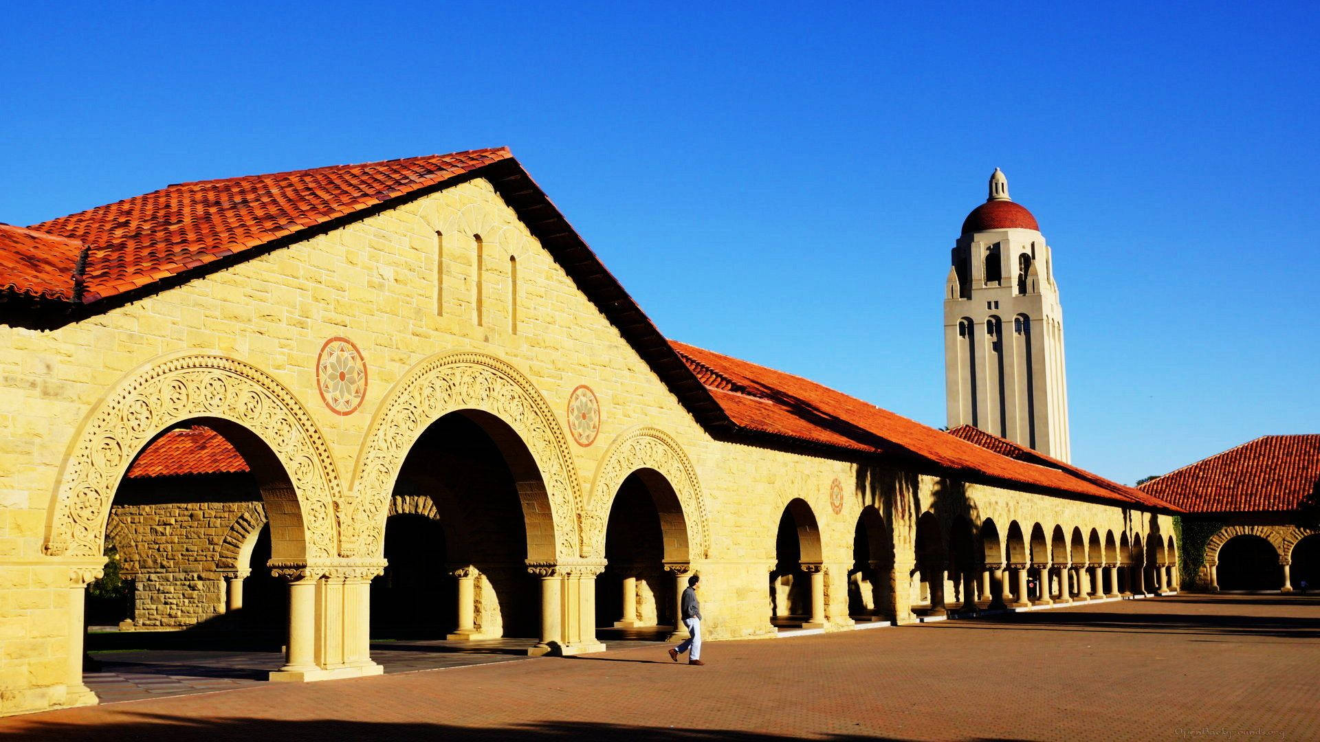 Stanford University Hoover Tower View