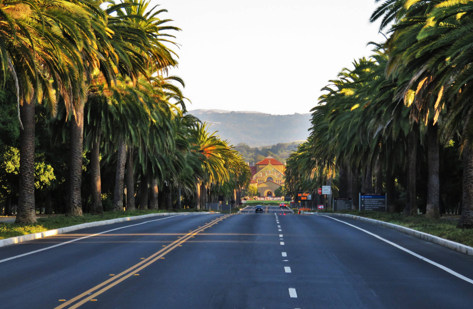 Stanford University Road