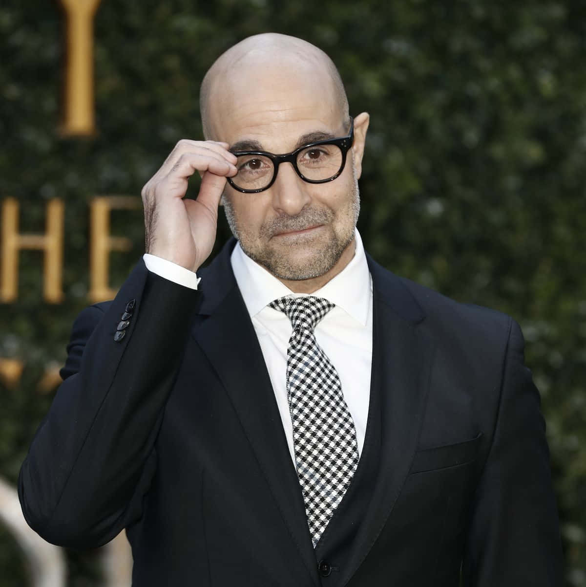 Stanley Tucci [wallpaper] Background