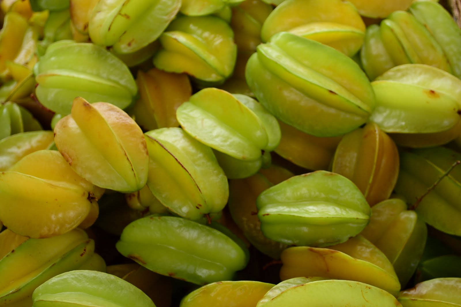 Star Fruits Yellow Green Background