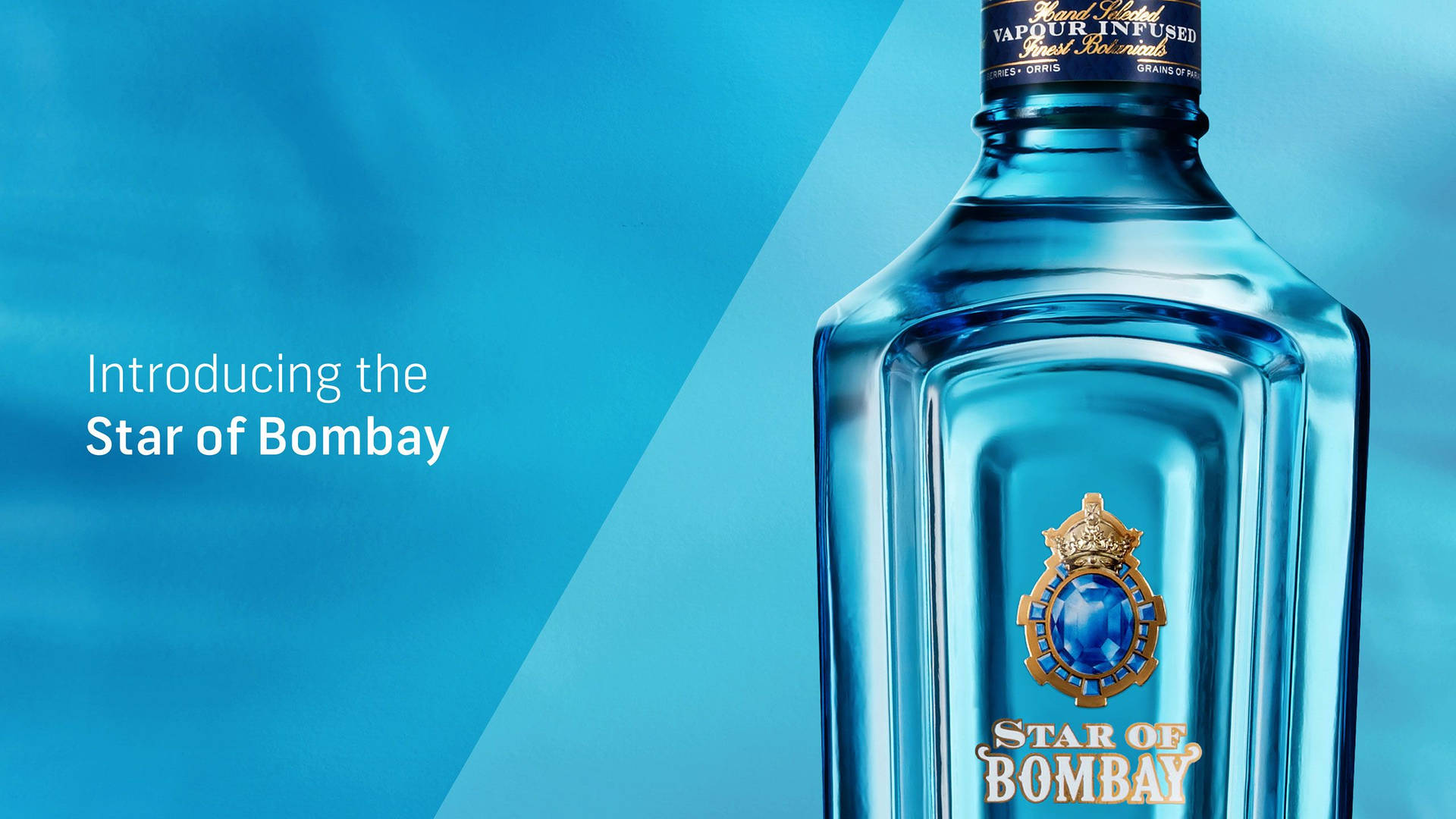 Star Of Bombay Background