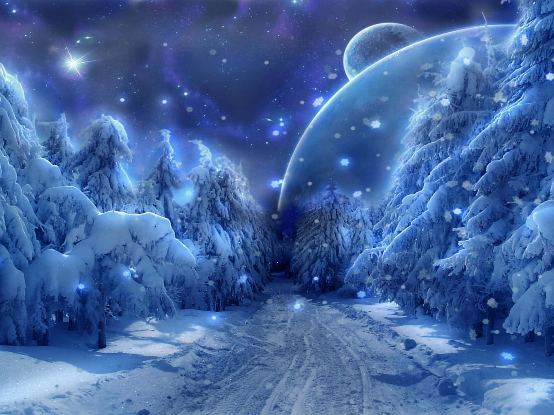 Star Sky Over Snowy Forest Background