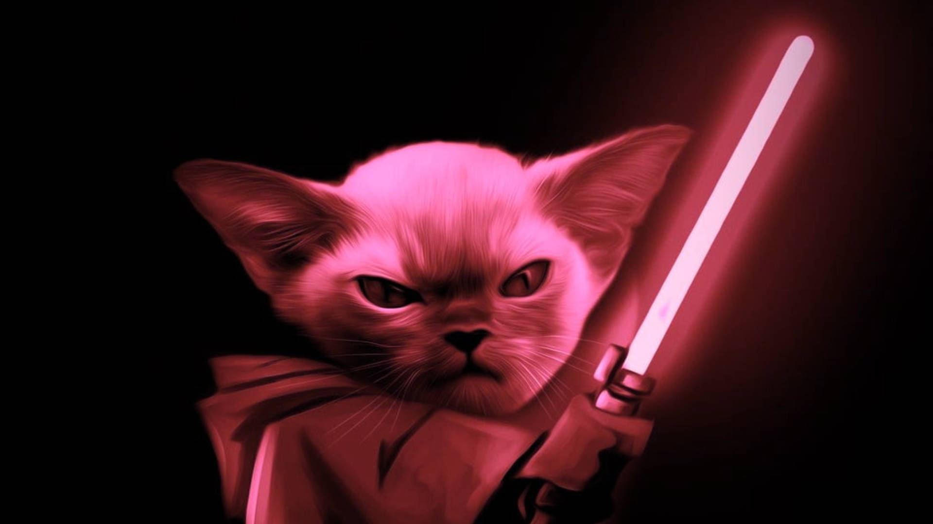 Star Wars Red Cat Jedi Background