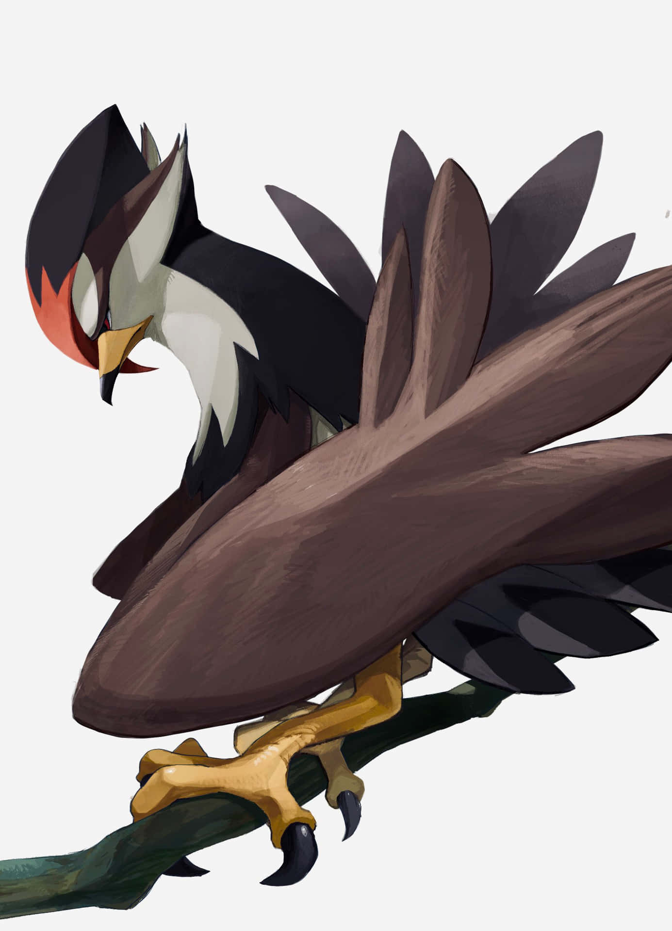 Staraptor On A Branch Background