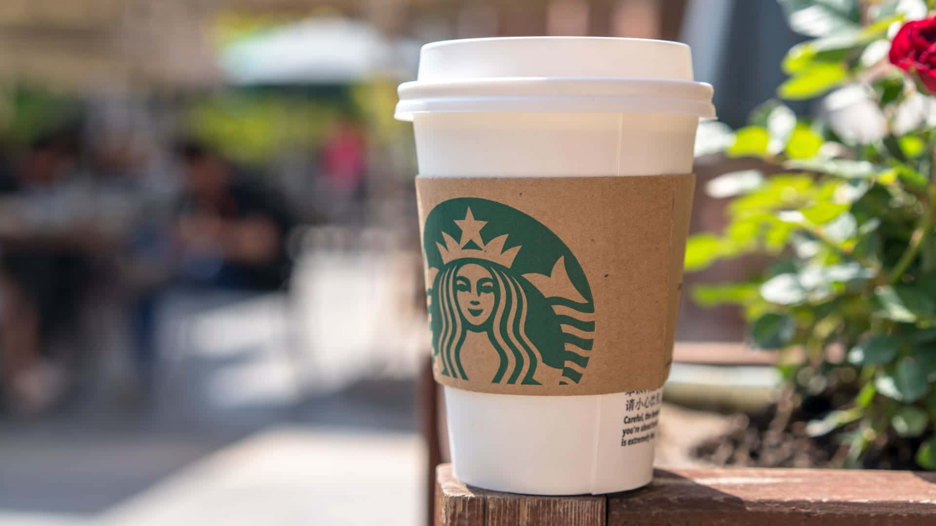 Starbucks Coffee Disposable Cup Background