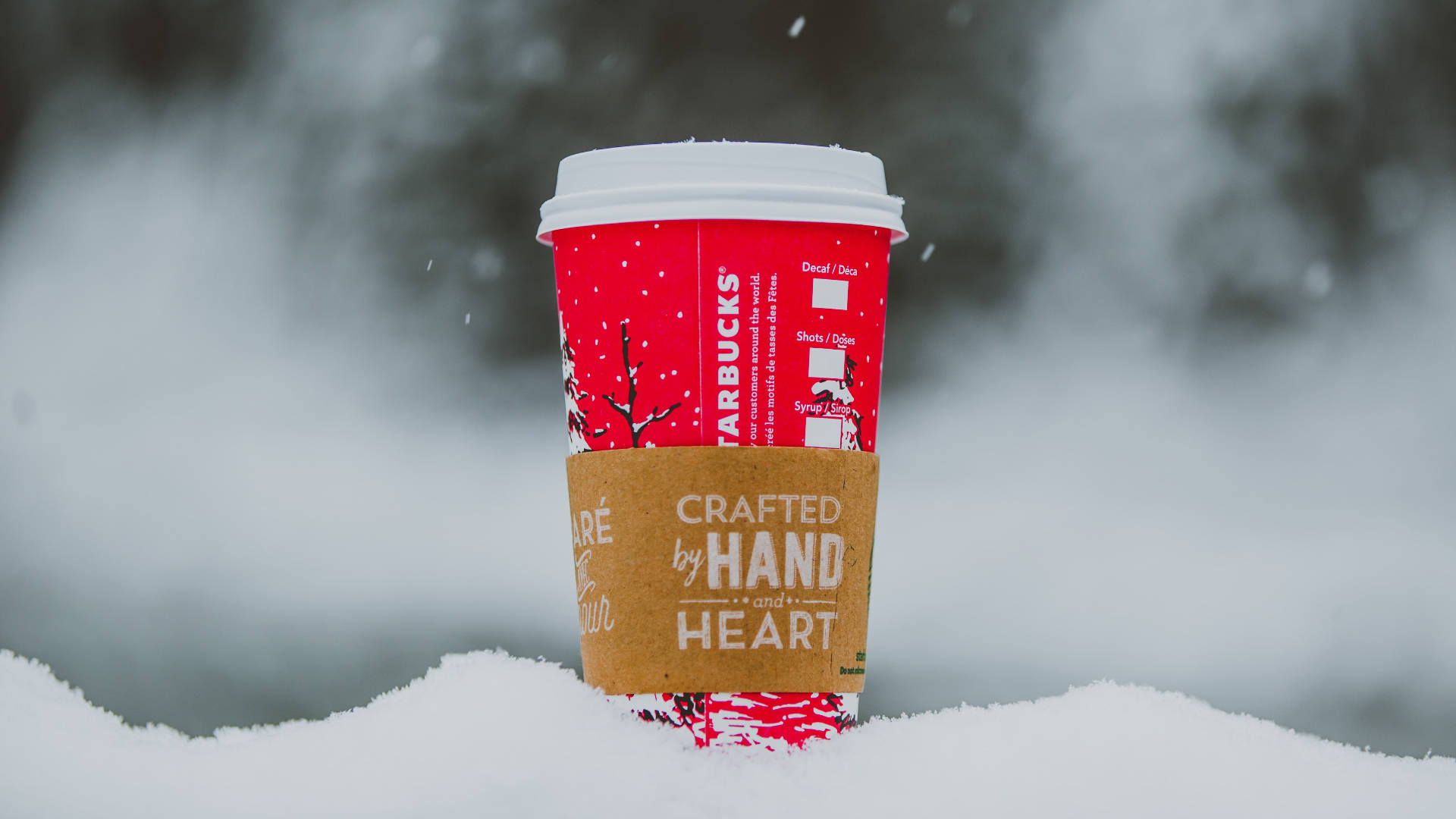 Starbucks Cup On Snow Background
