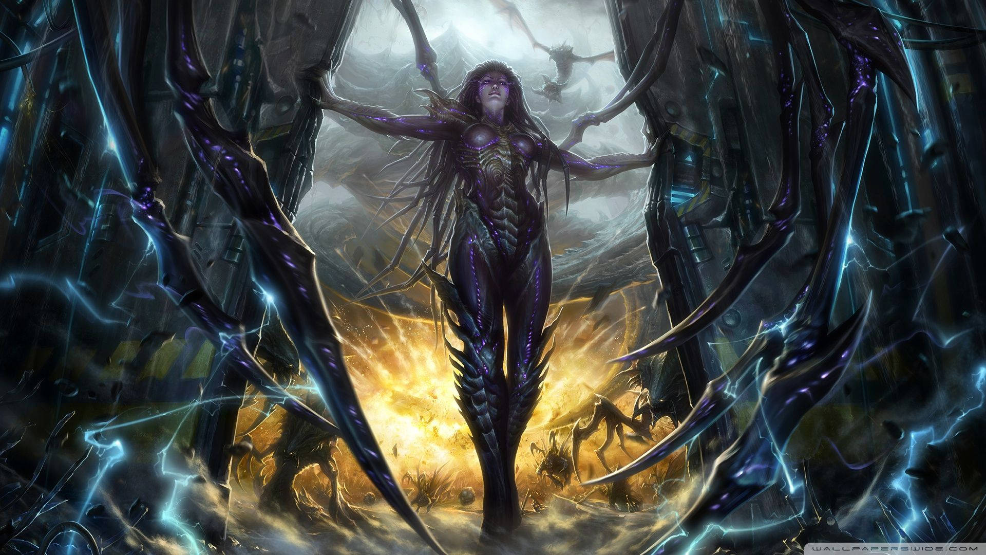 Starcraft Queen Of Blades Background