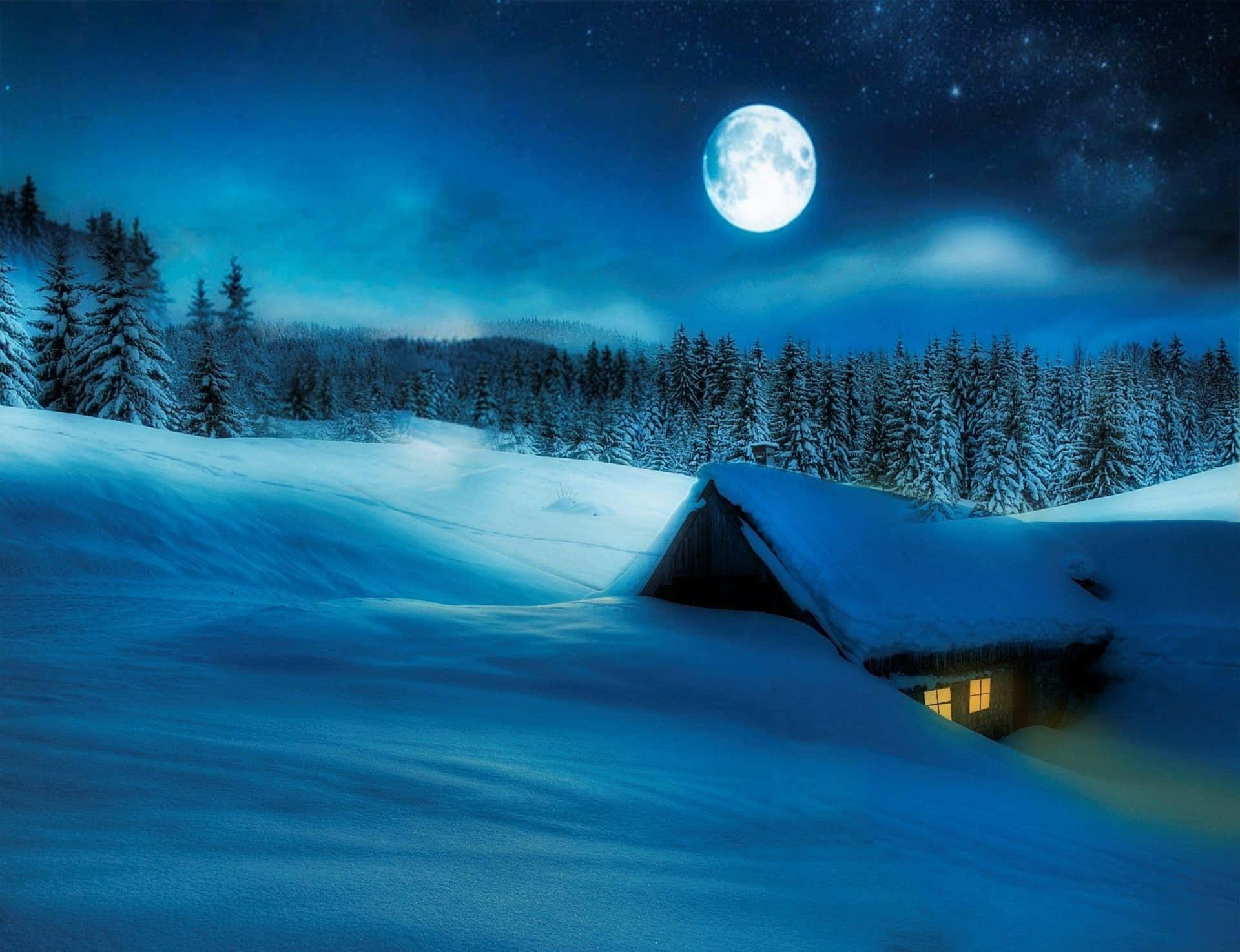 Stare Into The Beauty Of An Illuminated Winter Night Background