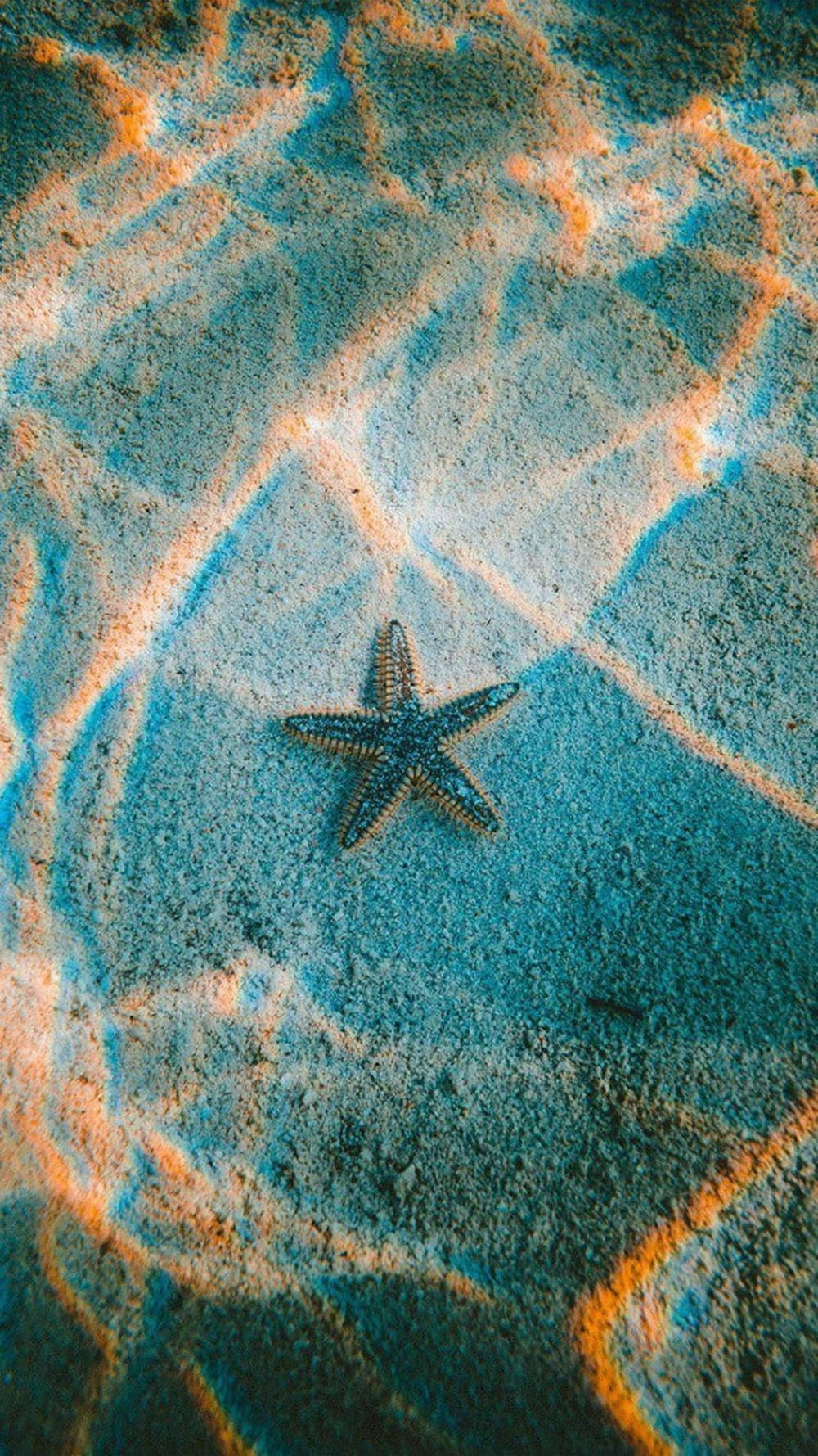 Starfish And Prism Effect