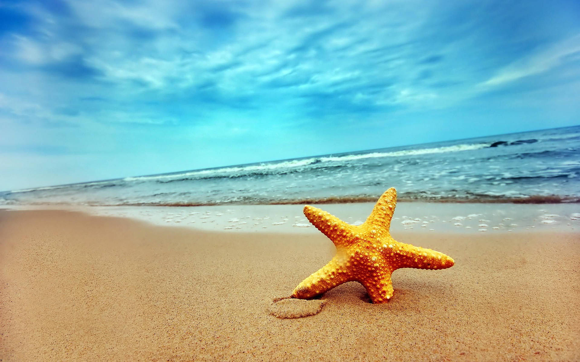 Starfish And Sea Background