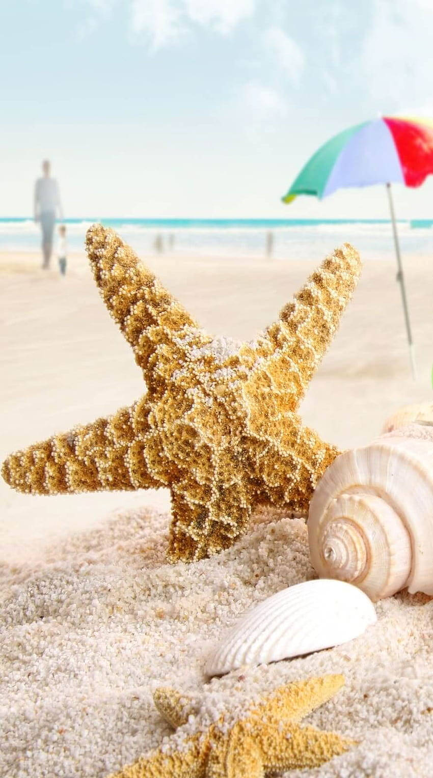 Starfish And Shells On The Beach With An Umbrella Background