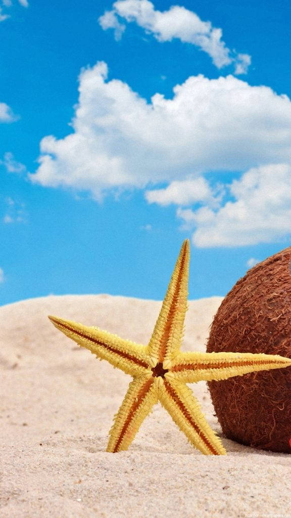 Starfish Beach Iphone Background