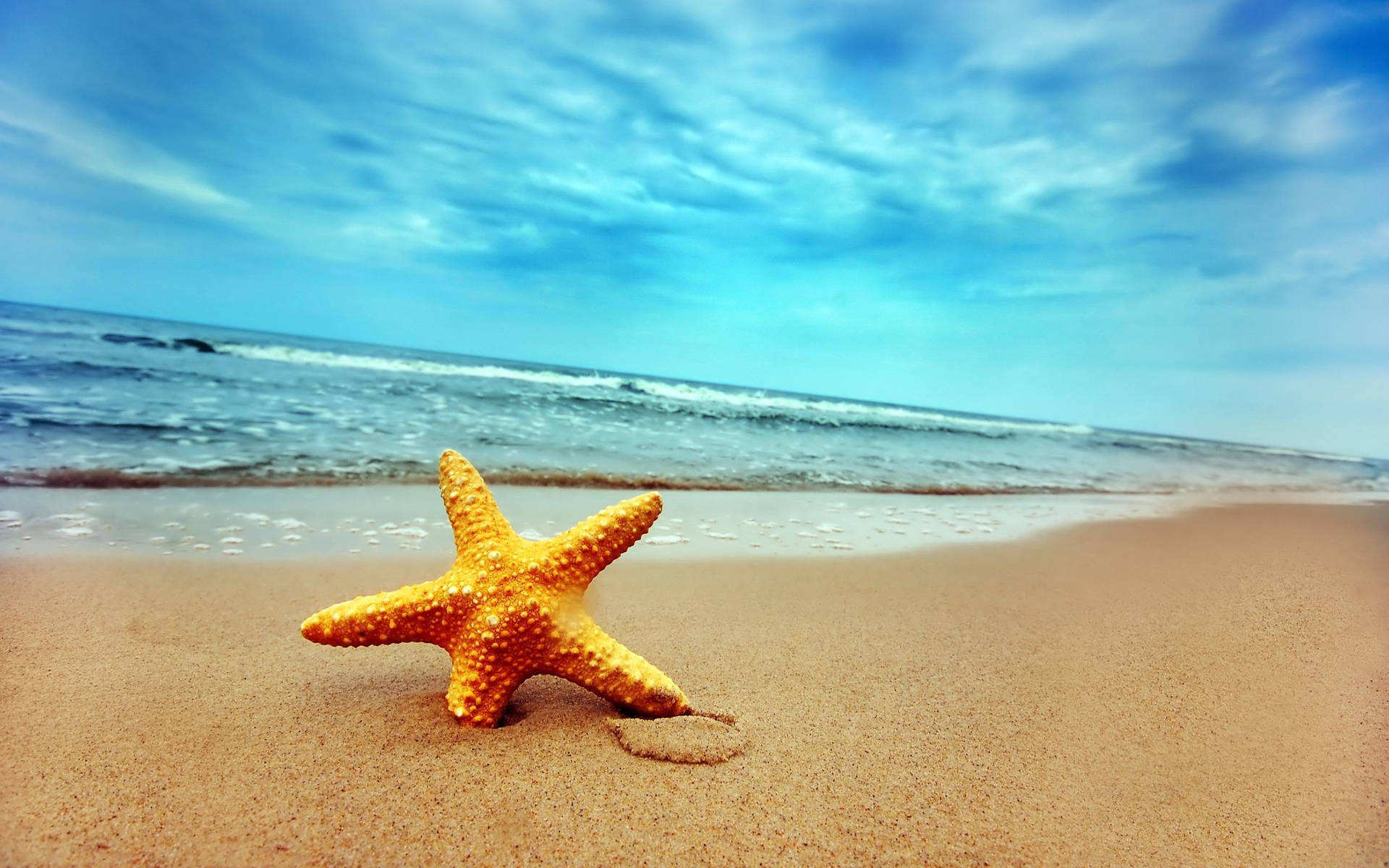 Starfish Beach Scenes Desktop Background