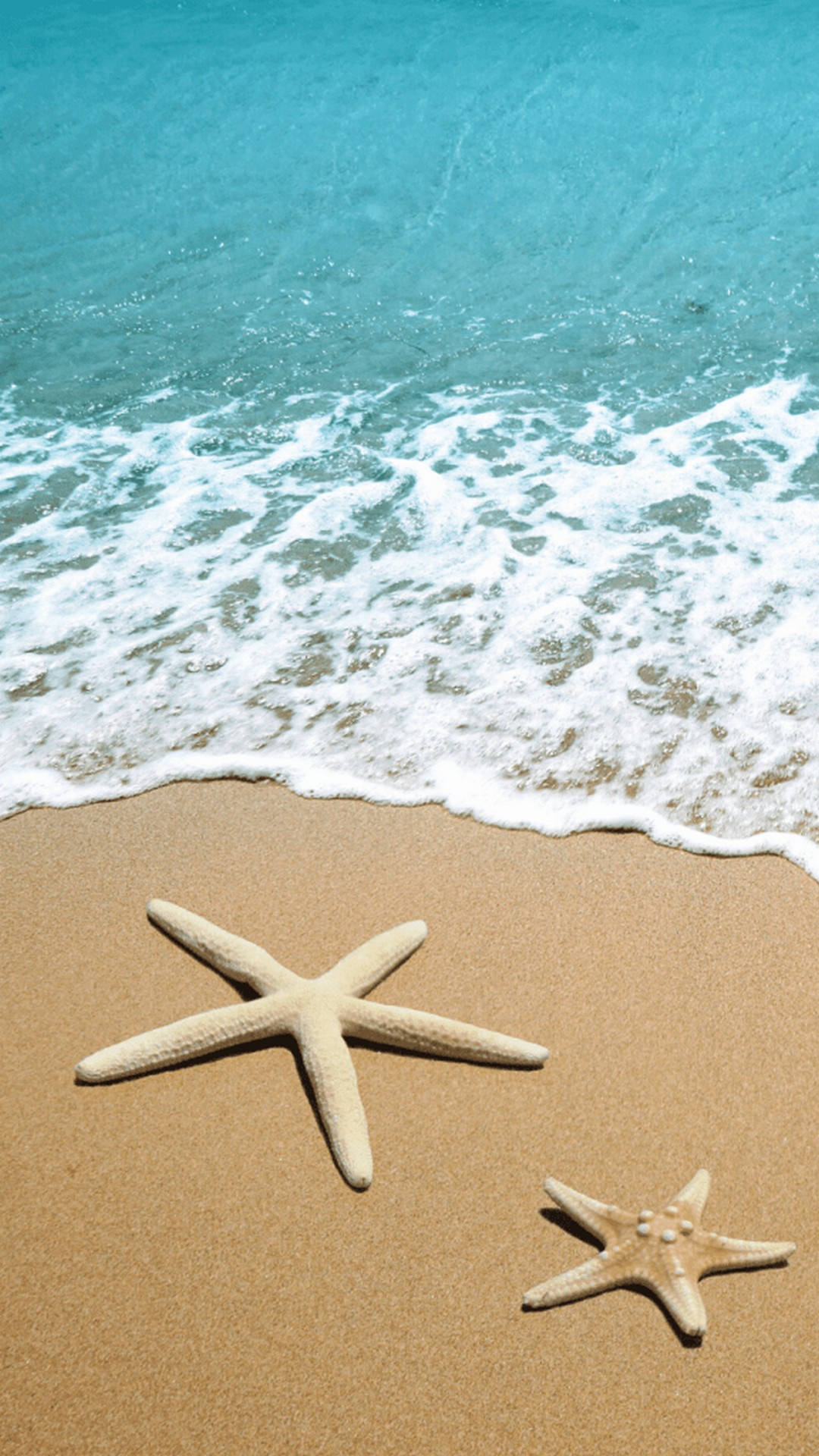 Starfish On Beach Summer Iphone Background