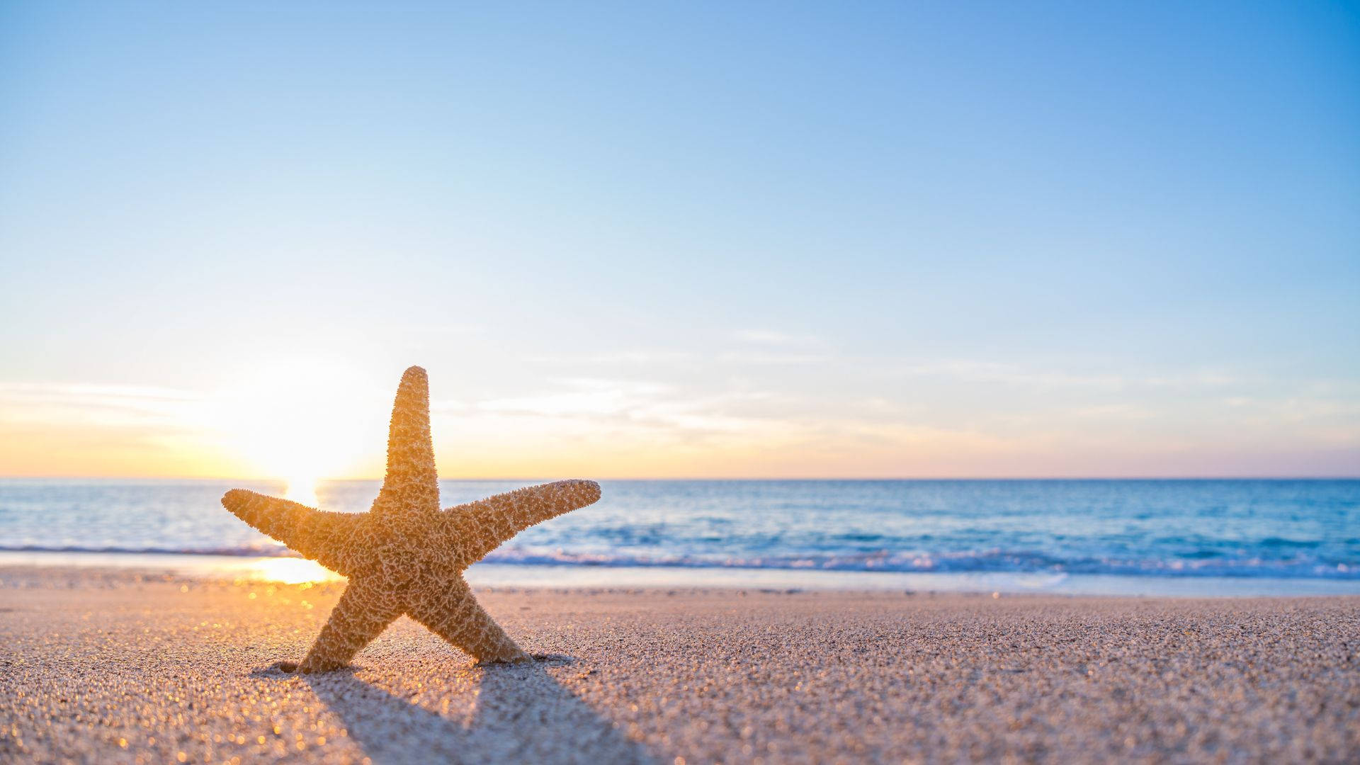 Starfish On Blue Beach Sunrise Desktop Background