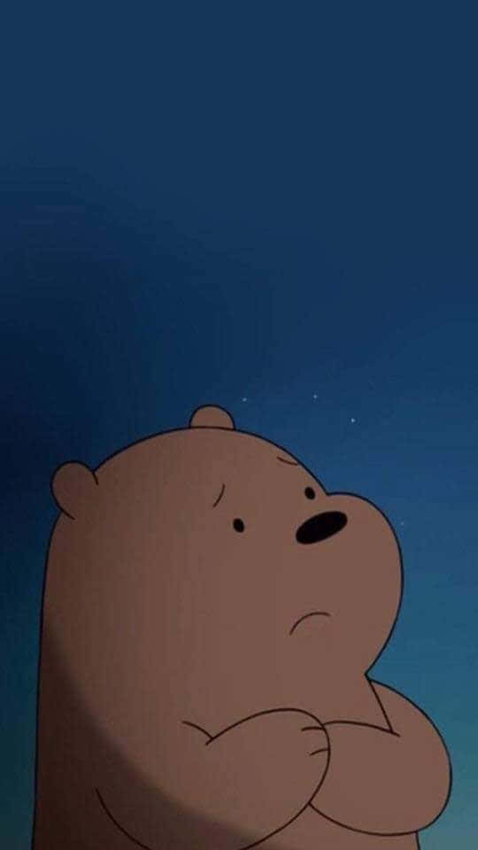 Stargazing Brown Bear We Bare Bears Background