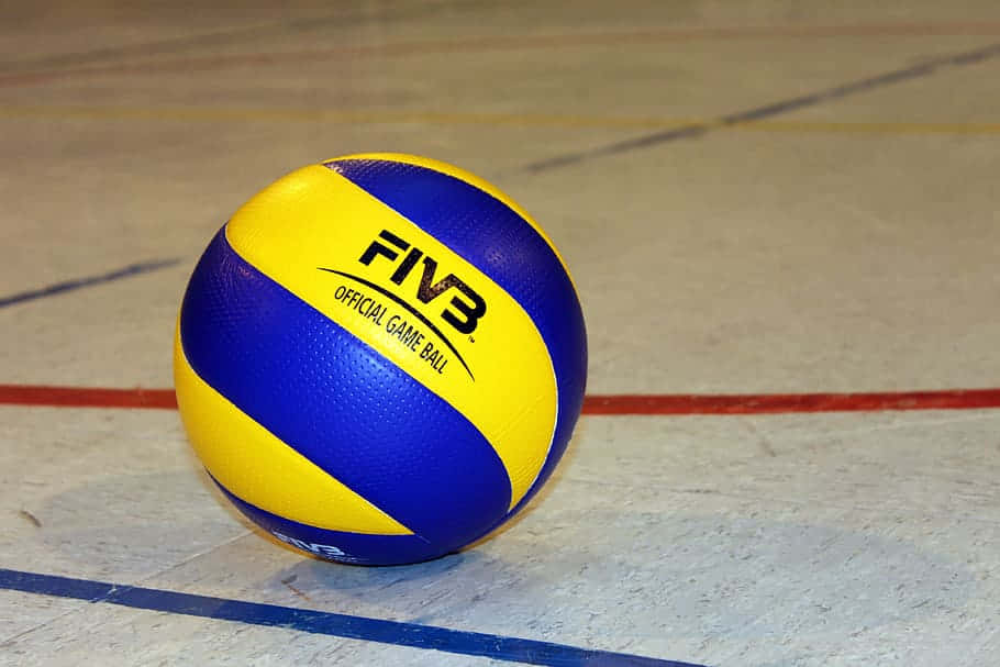 Staring Into The Eyes Of Volleyball Background