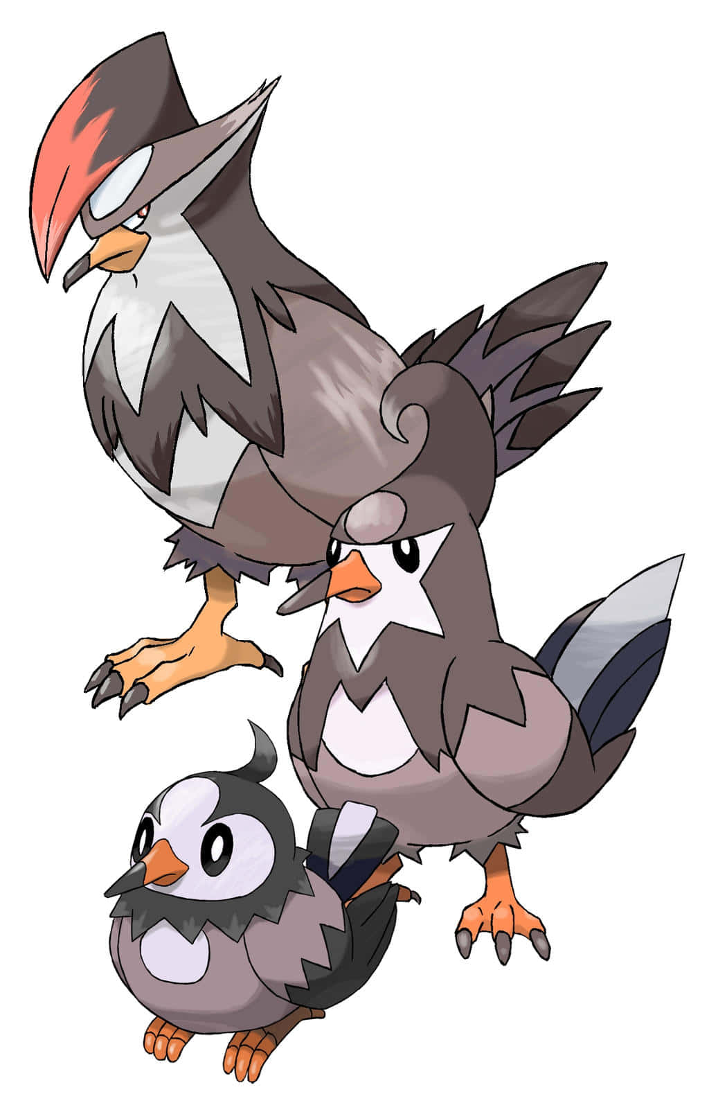 Starly Evolution Line Background