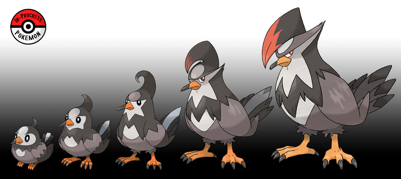 Starly Transformation