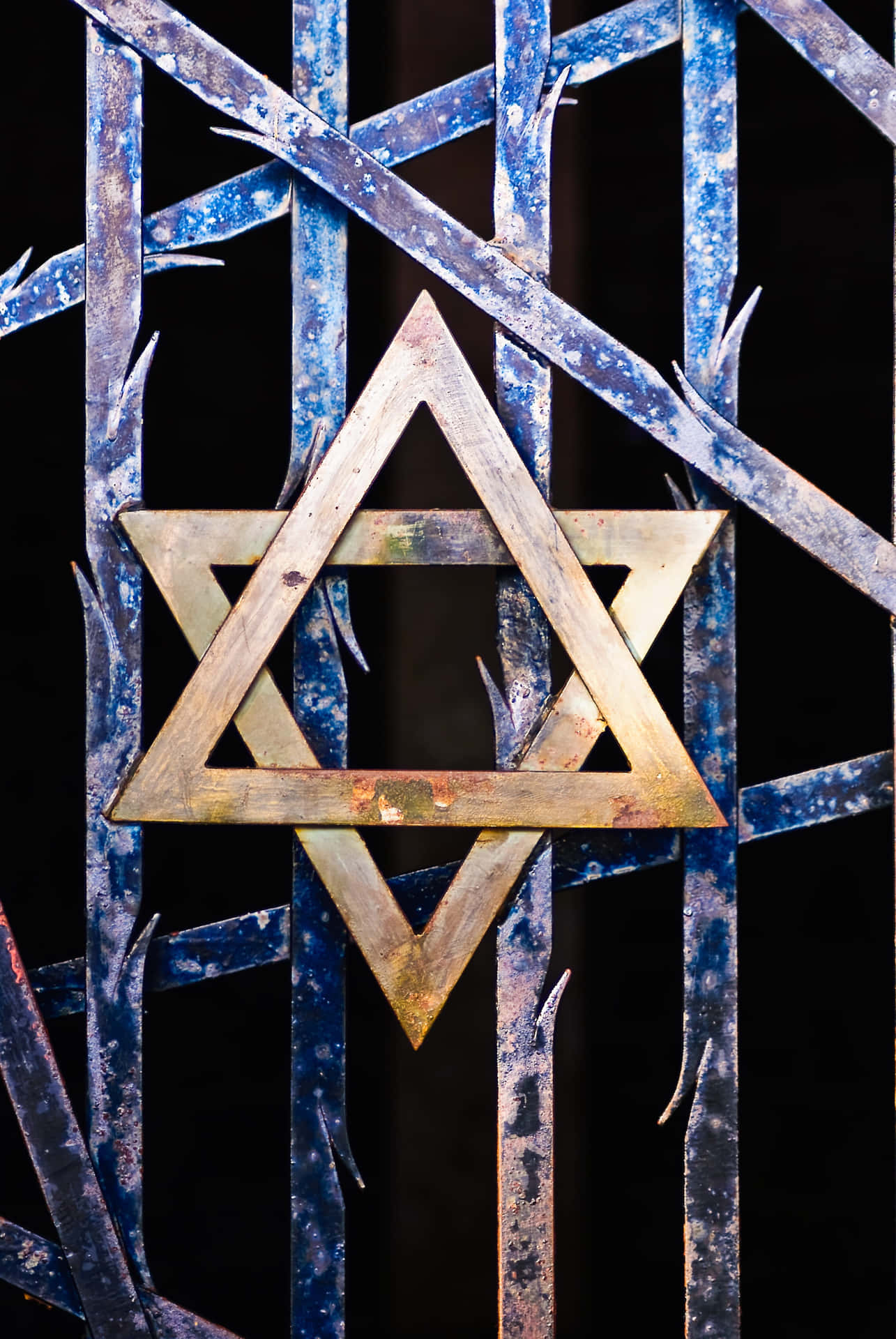 Starof David Metal Gate Background
