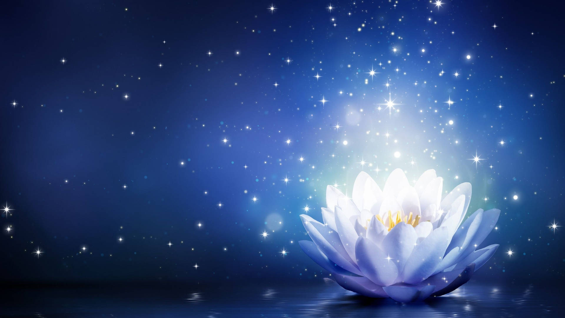 Starry Lotus Digital Art Background