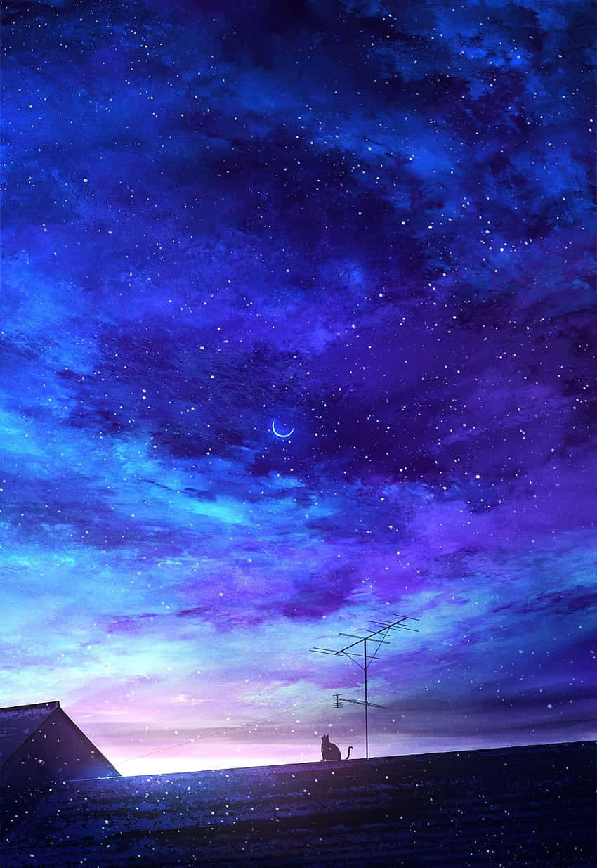 Starry Night Fishing Anime Scene Background