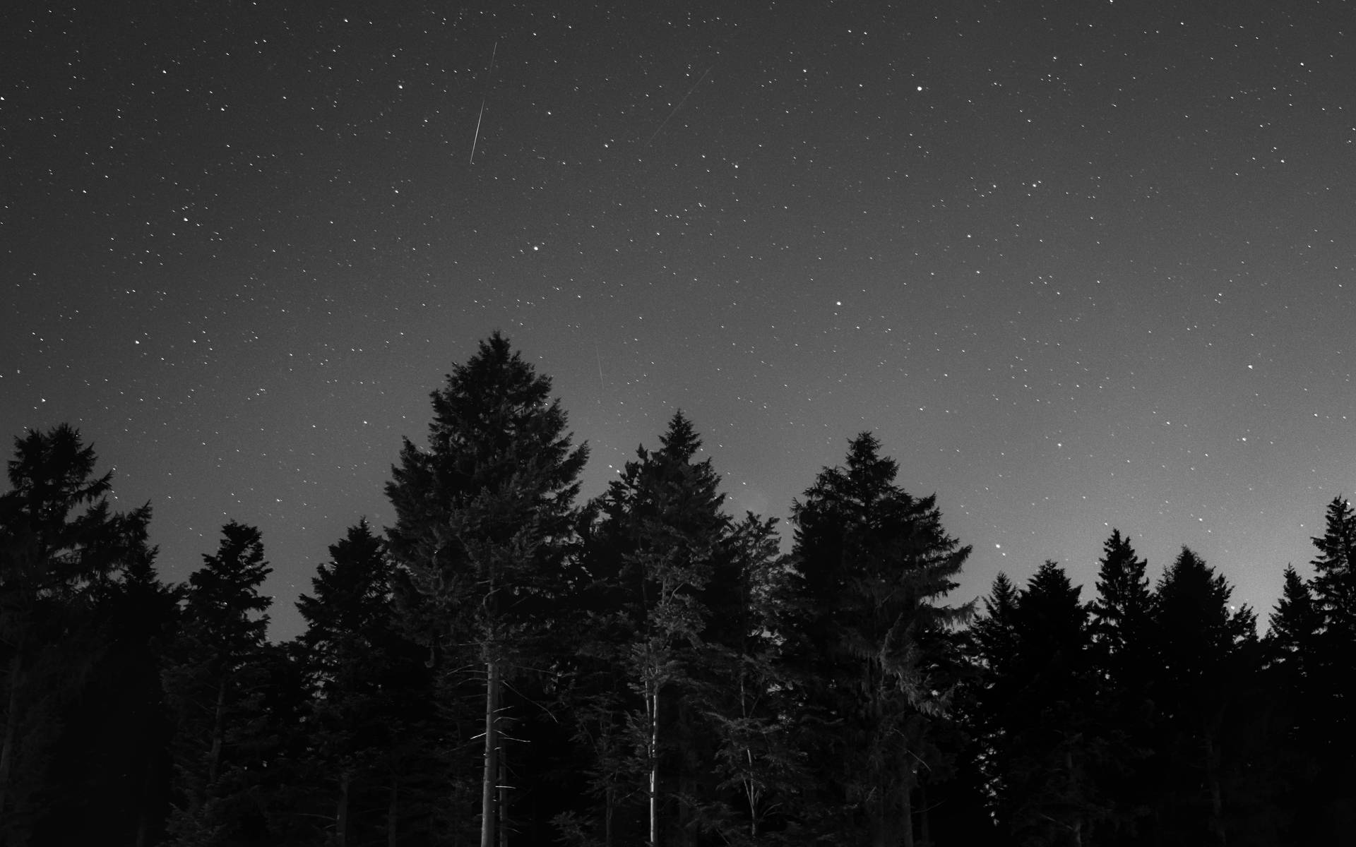 Starry Night In Grayscale Background