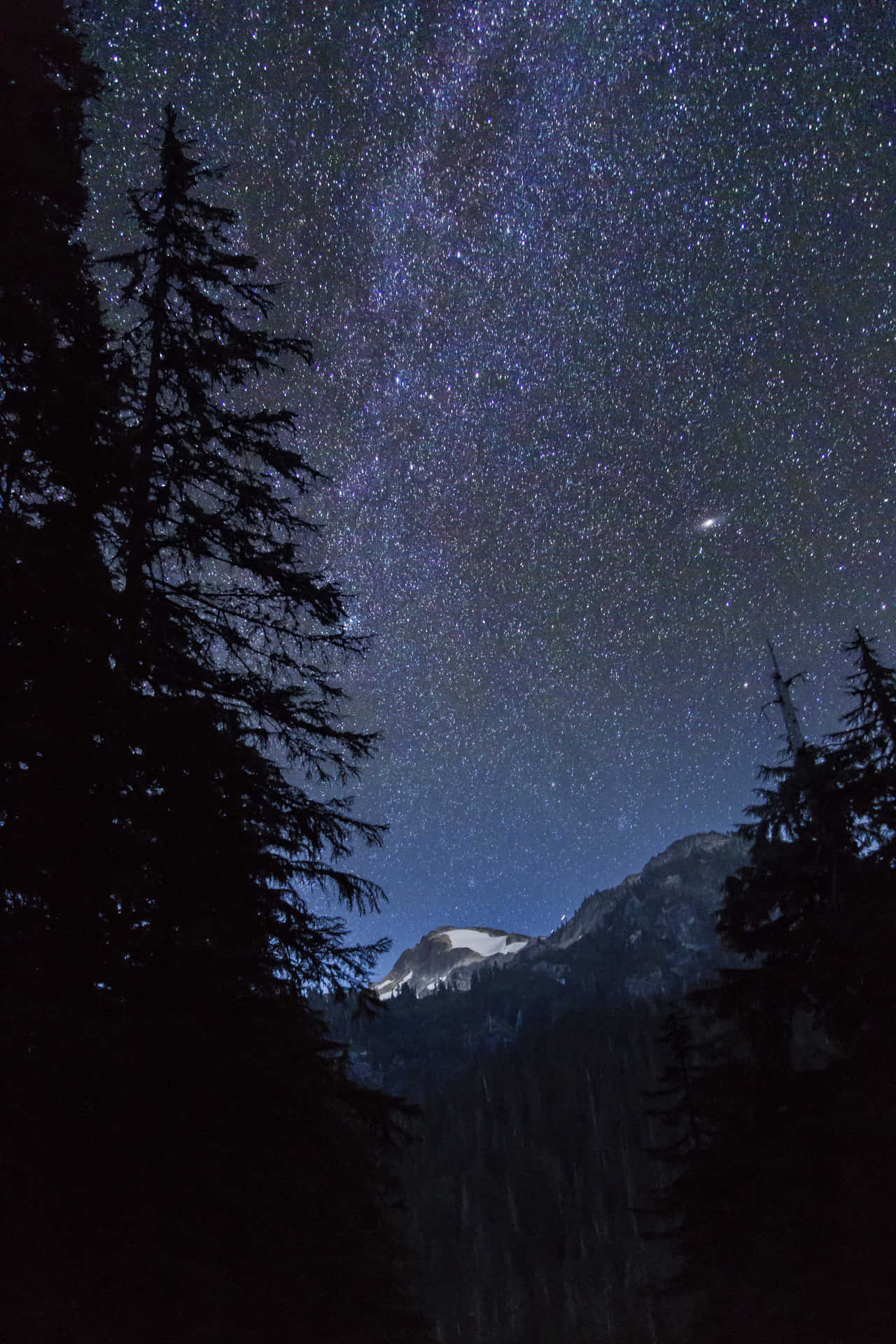 Starry Night Sky 3648 X 5472 Background