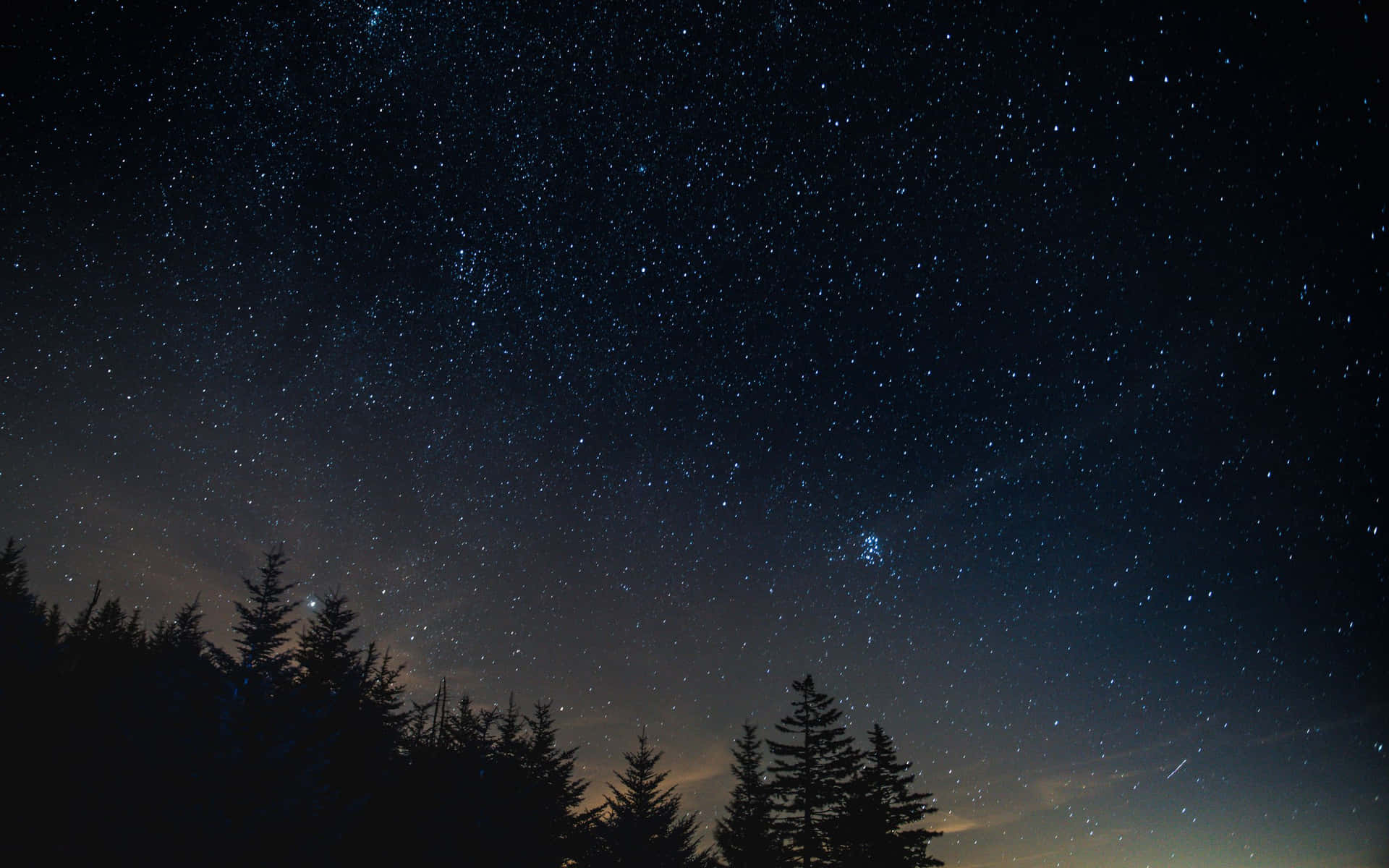 Starry Night Sky Over Forest Background