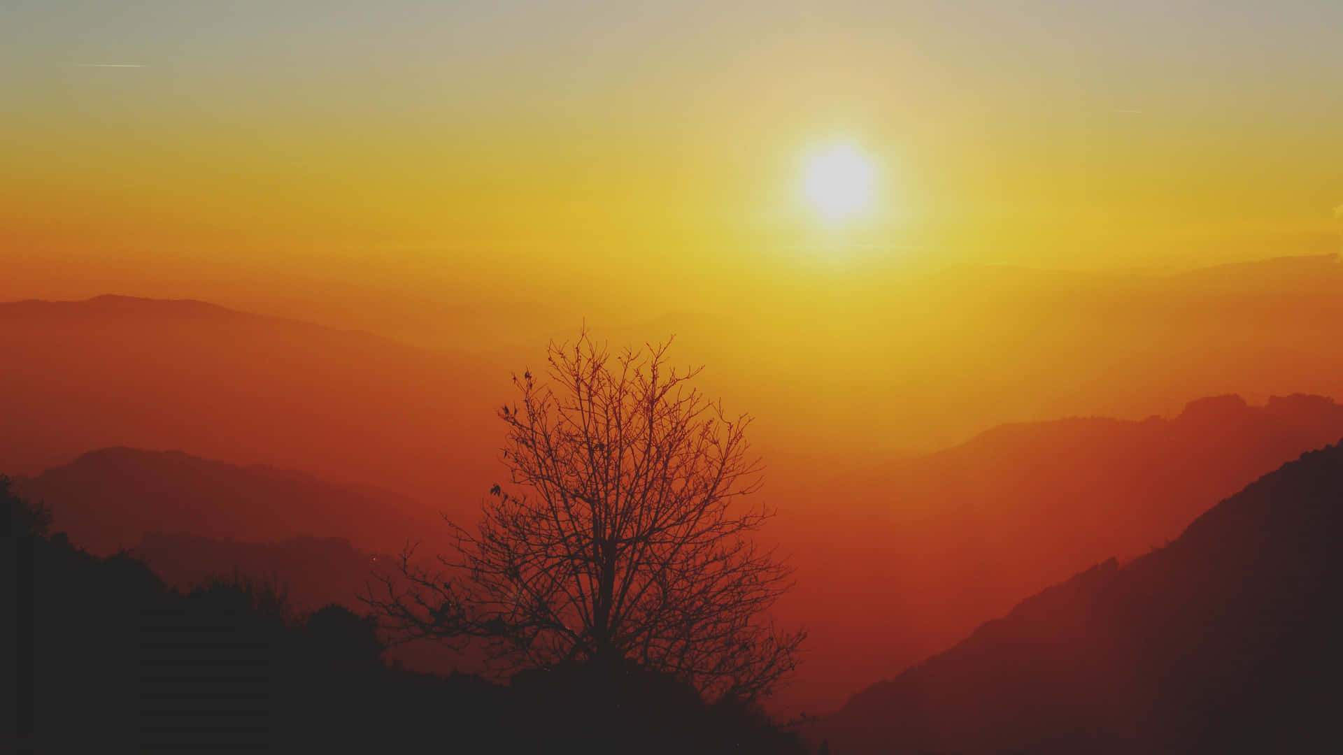 Start The Day With A Beautiful View Of The Sunrise From Your Desktop. Background
